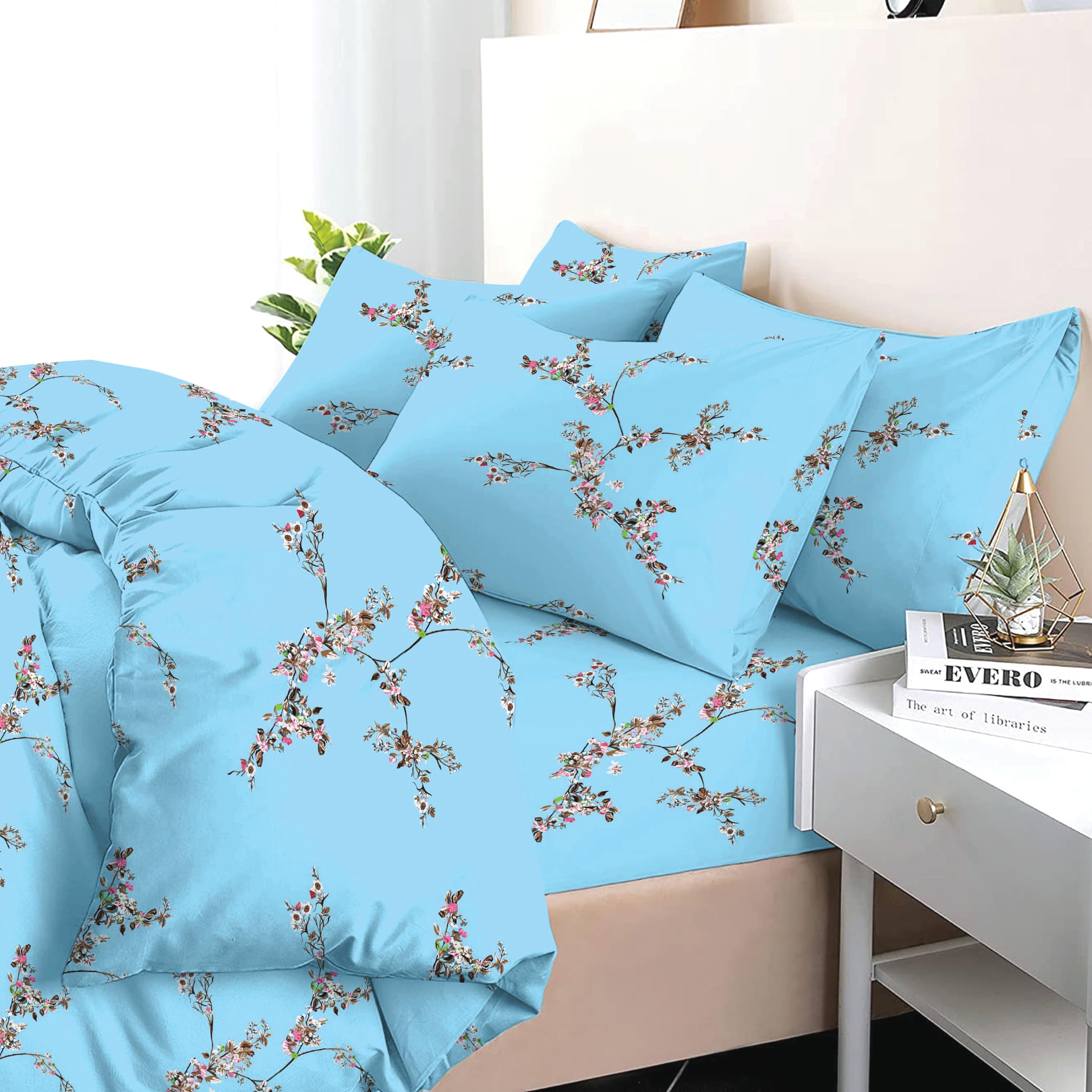 View 6