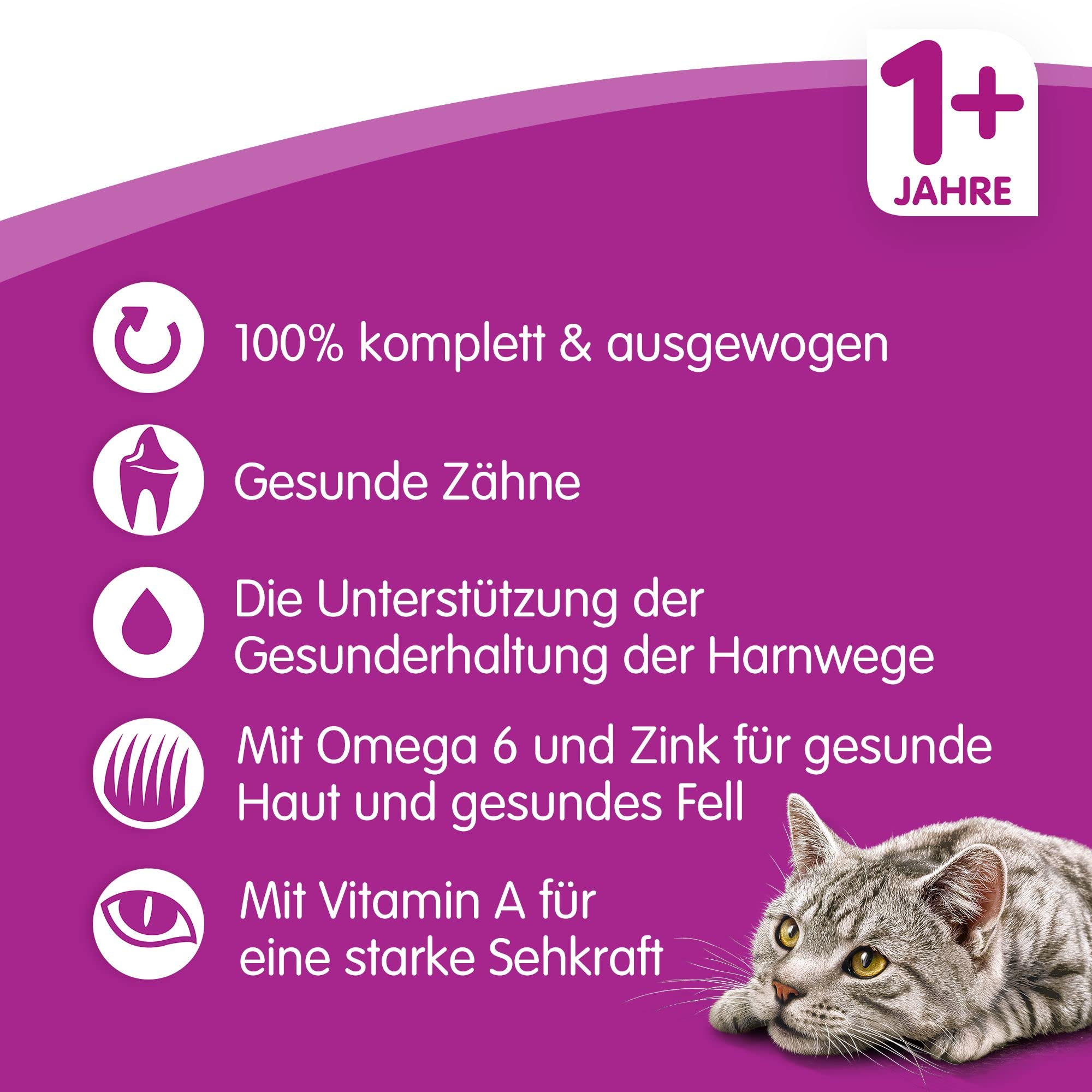 Whiskas Adult 1+ sucha karma jagnięca, 5 x 800 g (5 paczek) - sucha karma dla dorosłych kotów - dostępne różne opakowania produktu
