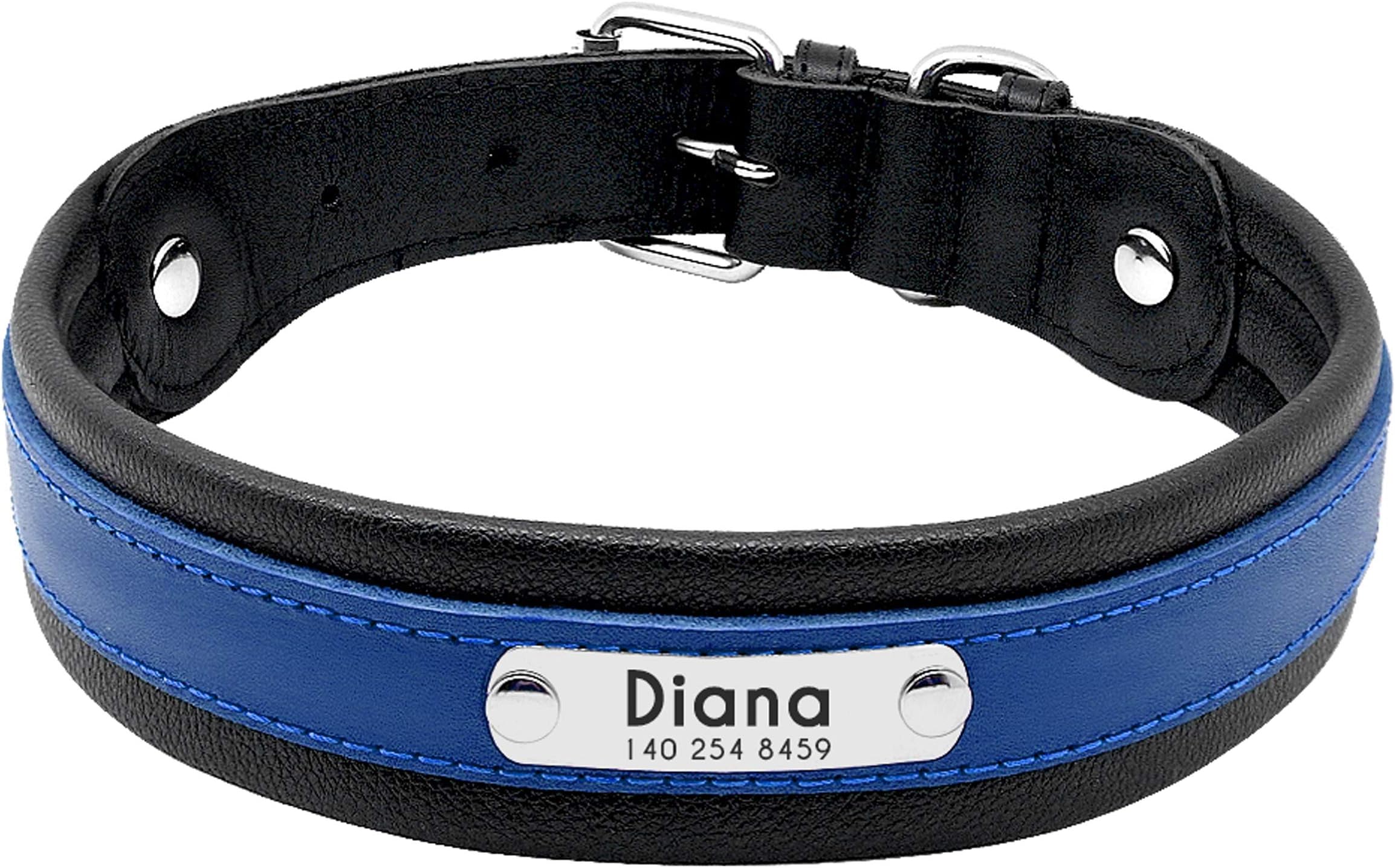 PET ARTIST Studded Blue Leather Dog Collar with Name Plate - Personalized Leather Dog Collars for Large Dogs - Free Engraved with ID Tags, M(Neck 12-16.5")
