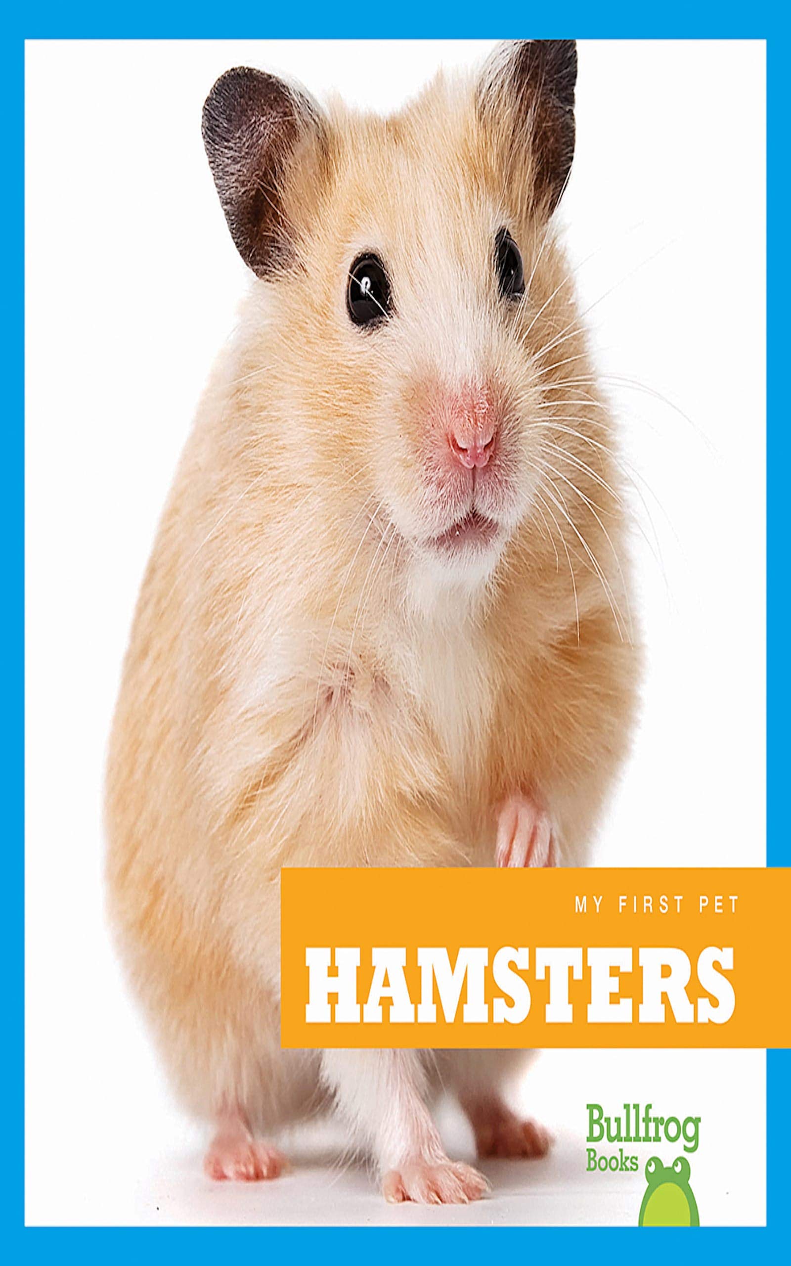Buy Hamster Online atelieryuwa.ciao.jp