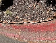 Review Image by jnppeters jnppeters