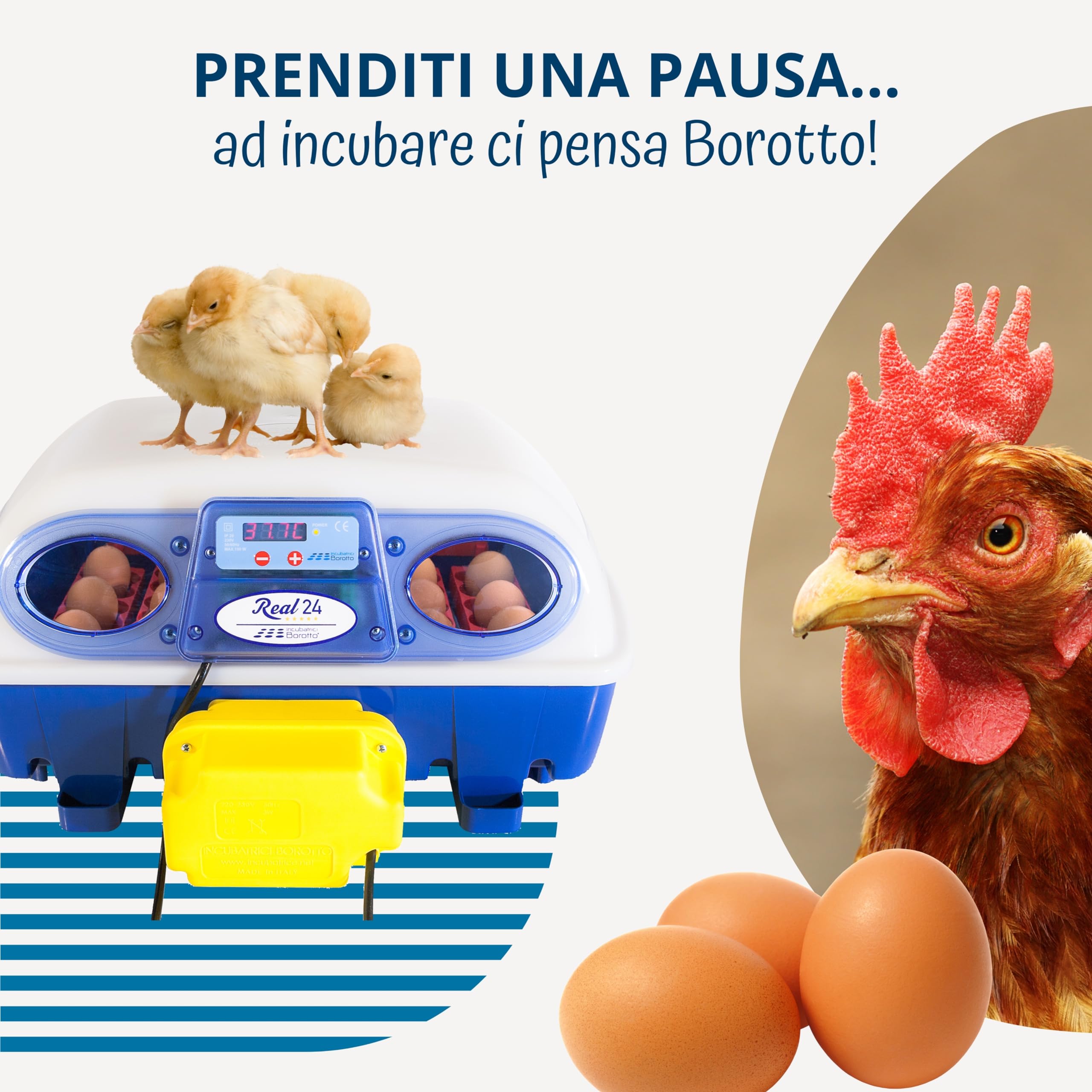 Gira Uova Real Borotto | Made in Italy