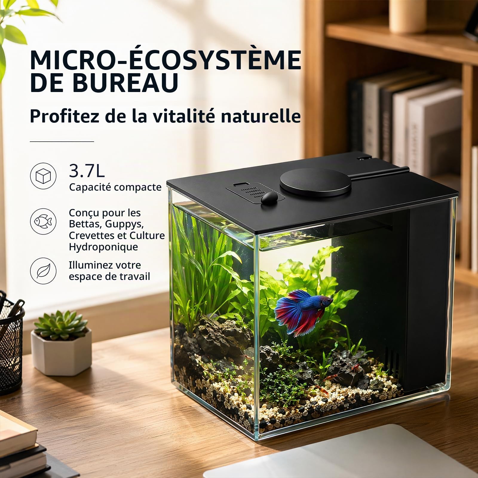 Kit de démarrage pour aquarium 3,7 l - Petit aquarium Betta en acrylique avec pompe filtrante et couvercle et éclairage LED - Pour petits poissons et crevettes