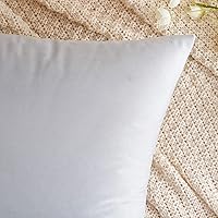 Vista 28 de EMEMA Paquete de 2 fundas de almohada de terciopelo, decorativas, cuadradas, suaves, sólidas, para sofá, dormitorio, silla o automóvil, 18 x 18 Gris