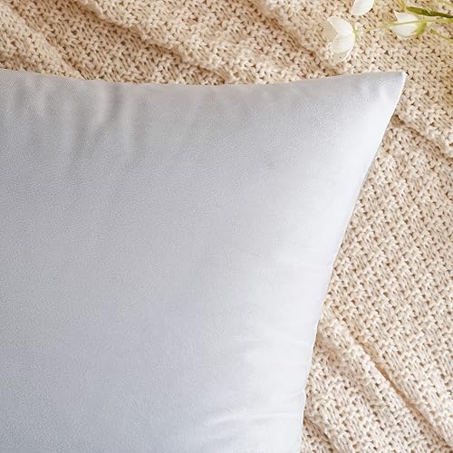 Miniatura 28 de EMEMA Paquete de 2 fundas de almohada de terciopelo, decorativas, cuadradas, suaves, sólidas, para sofá, dormitorio, silla o automóvil, 18 x 18 Gris