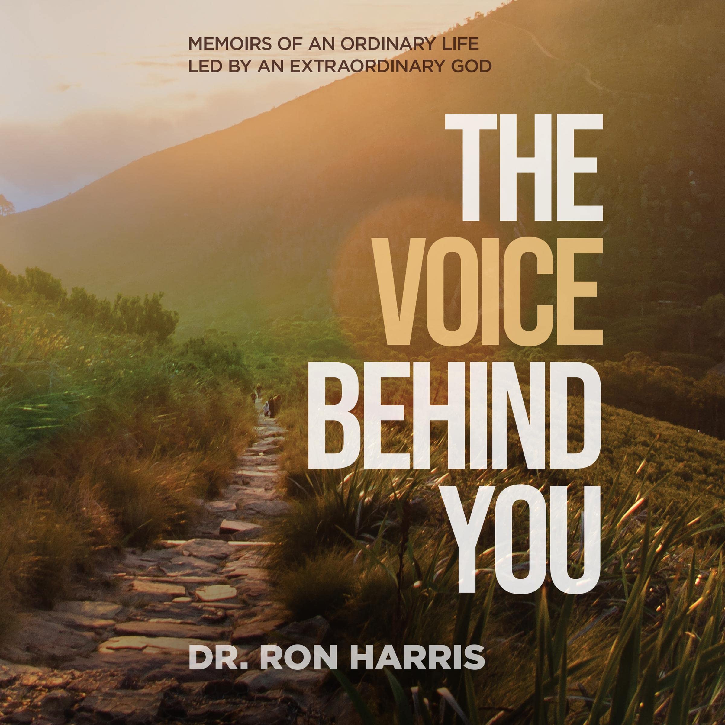 The Voice Behind You