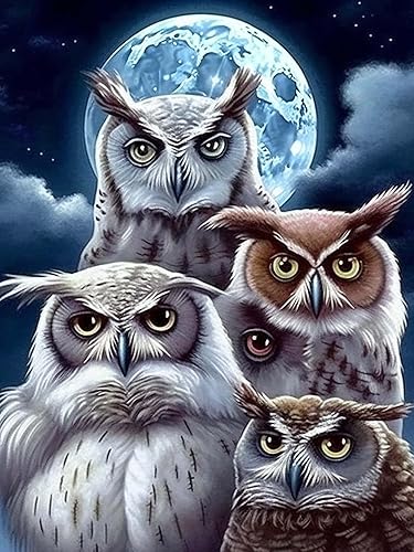 Diymood - Kit de pintura de diamante 5D por números para adultos, pintura artística con diamantes, pintura de búho con diamantes, suministros
