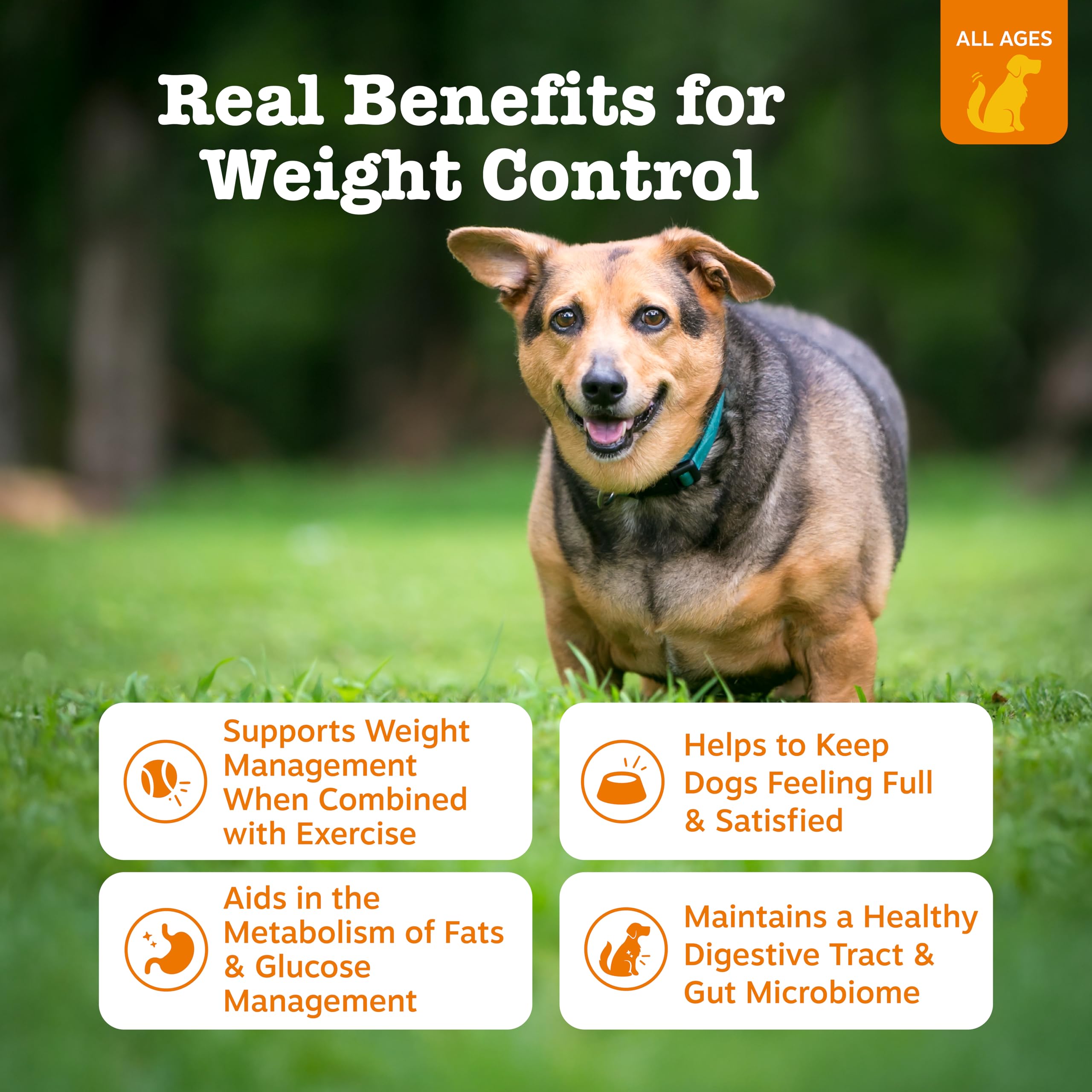 can a dog be allergic to l carnitine Deficiency in Dogs Limited Ingredient - 5 lb