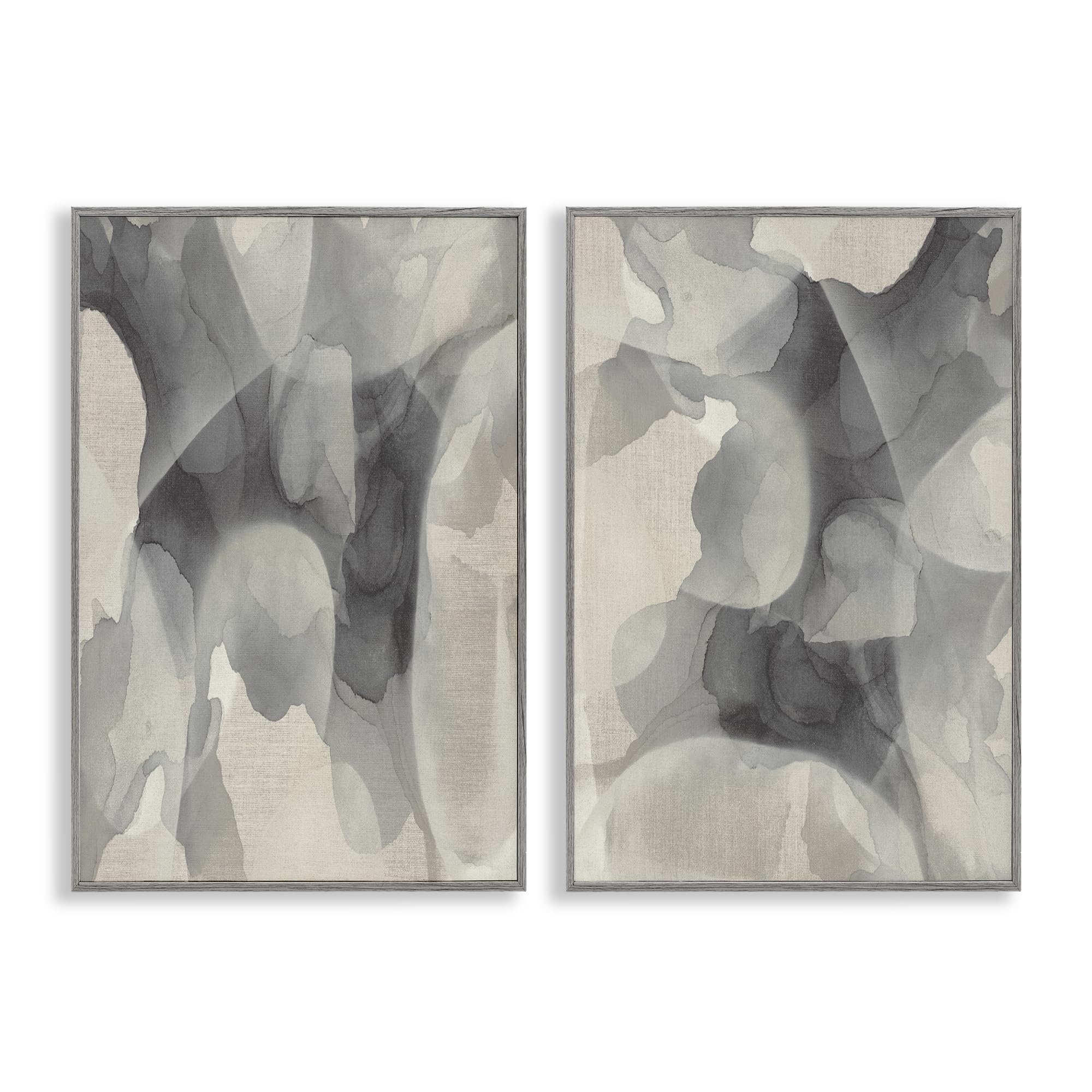 'Mottled Fluid Monochrome'| 2pc Framed Giclee Art Set 2