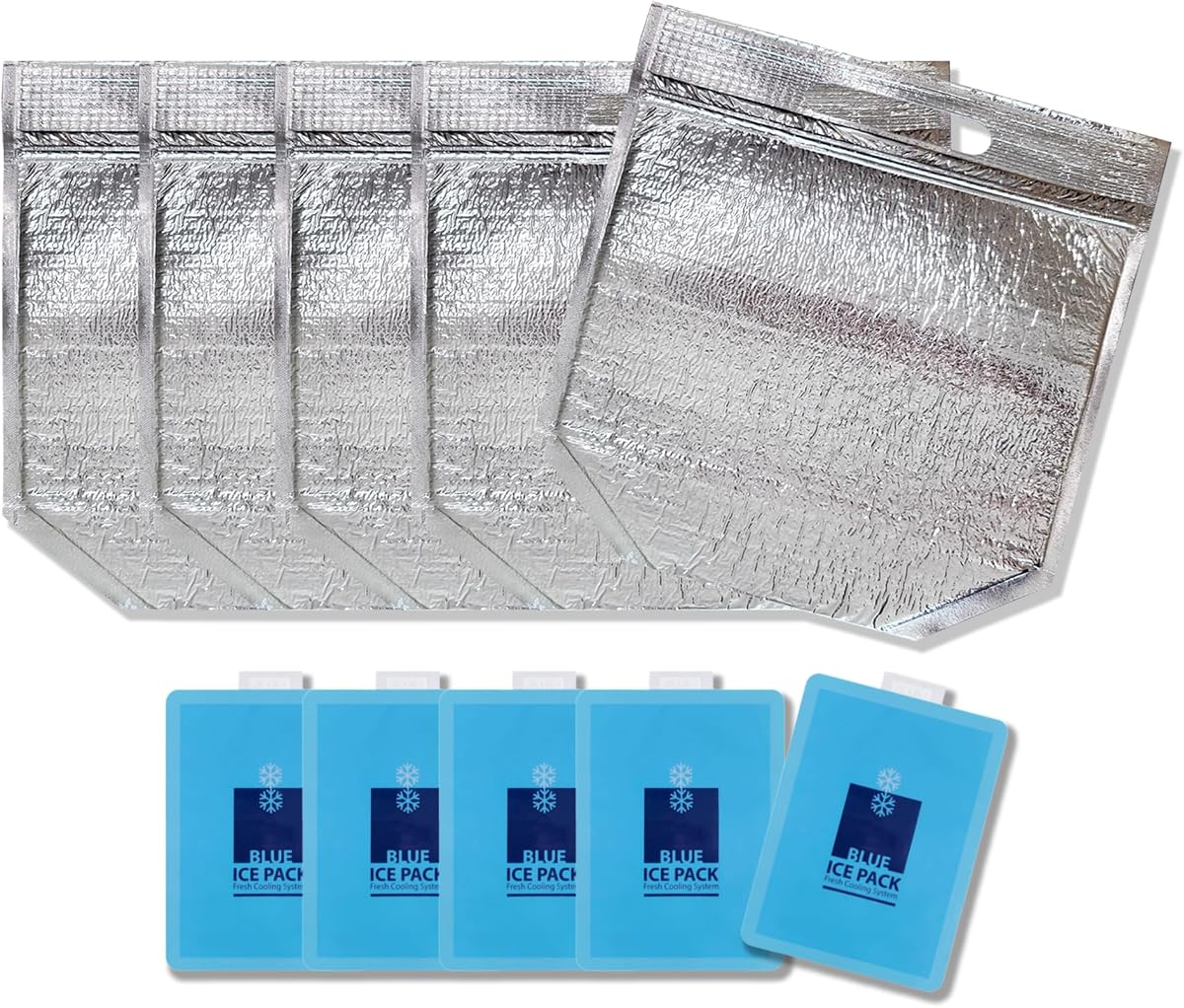 Reusable Insulated Lunch Bags with Zip Lock & Handle, Cooler Pouch, 5 Pack | Includes 5 Reusable Gel Ice Packs, Stand-Up Design for Groceries, Family Meals, Camping, Picnics & Outdoor Activities