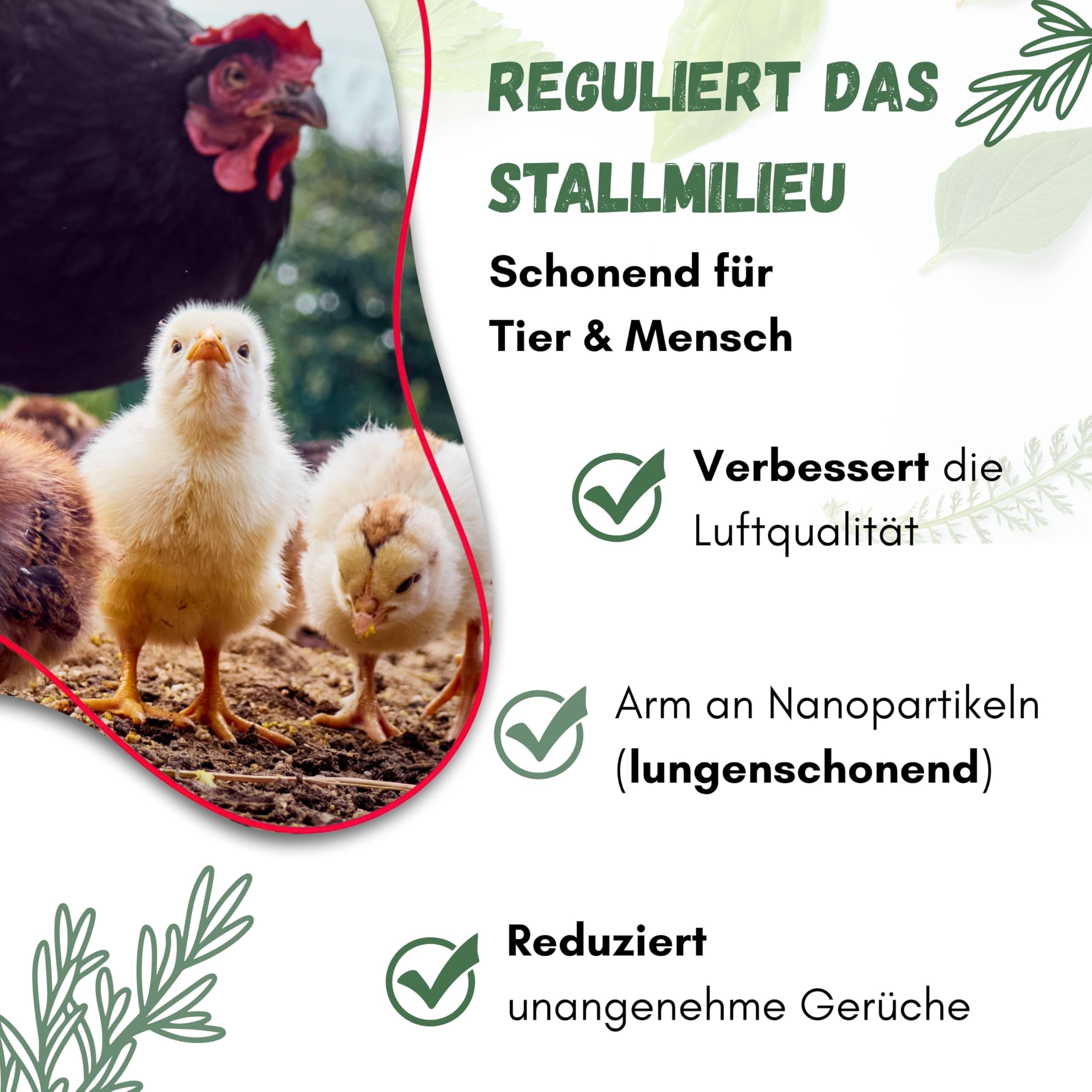 Starter Pack Mite Staubbad für Hühner 15kg - Sandbad Pulver gegen Milben, Milbenmittel Hühner, natürlicher Milbenschutz, Puder