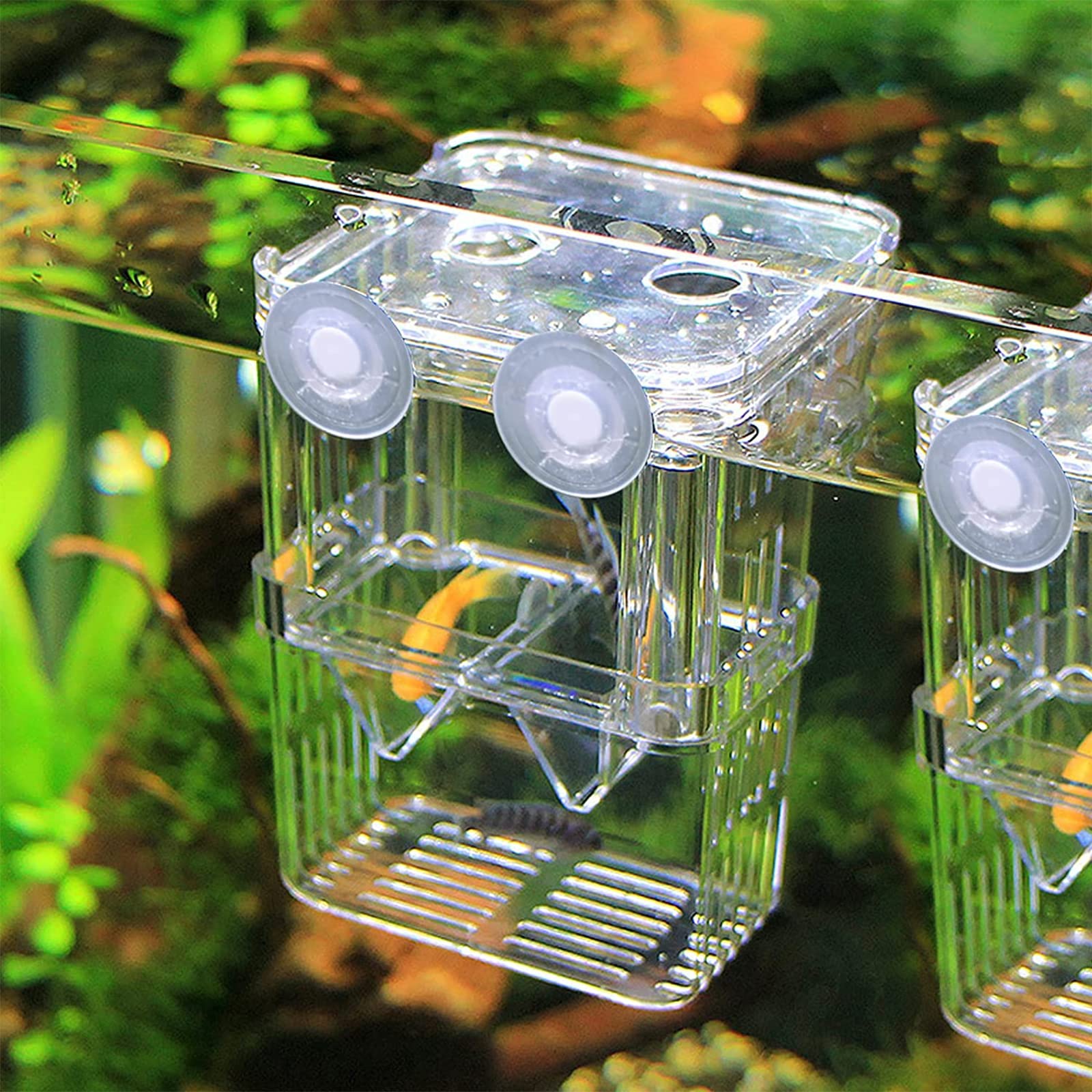 Scatola per Allevamento di Pesci,Guador 2 Pezzi Scatola di Isolamento per Allevamento Acquario Guppy Doppio Allevamento Allevatore Trappola Box Cova Contenitore Acquario Multifunzionale (2 pezzo L)