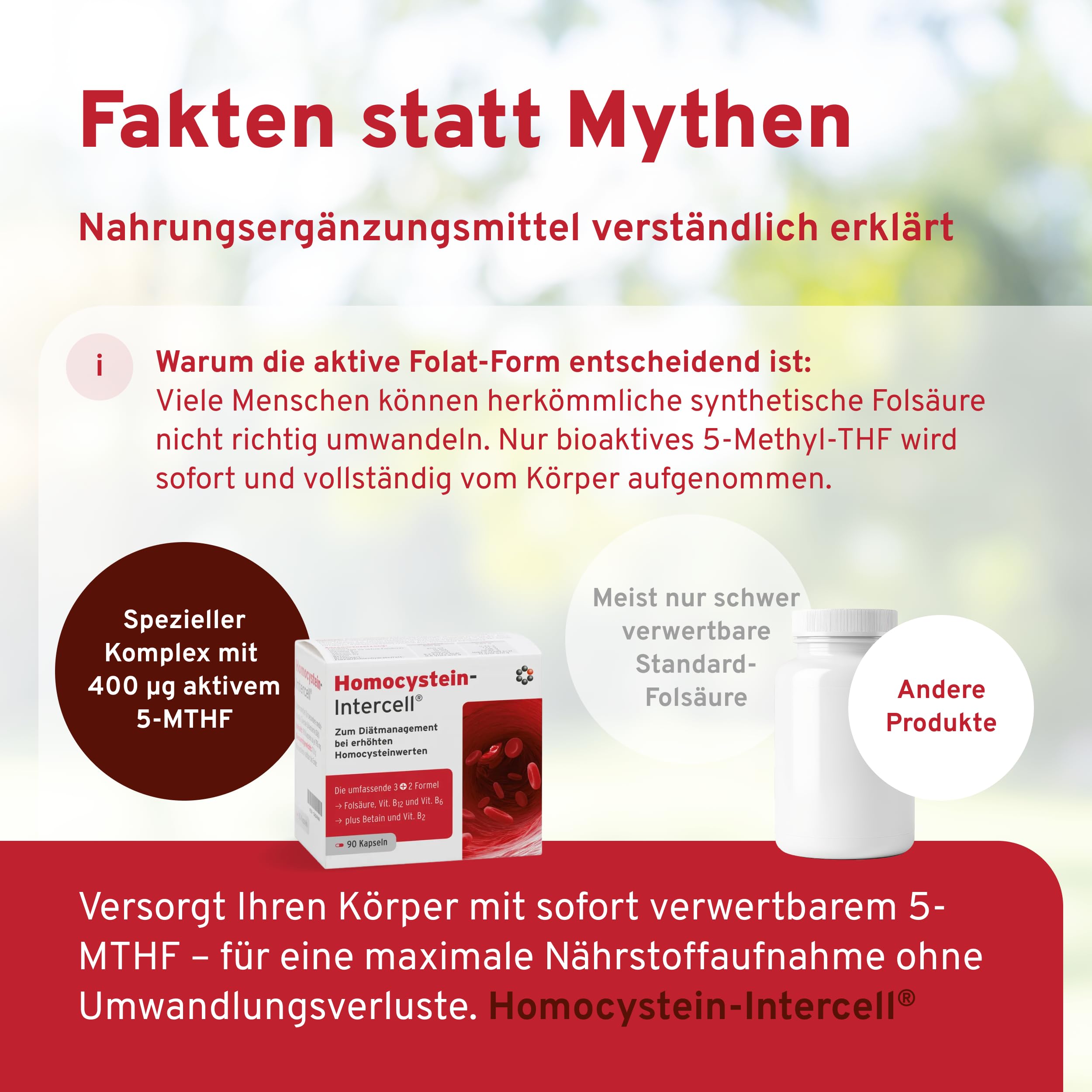 Homocystein-Intercell (90 Kapseln) - Vitamin B Komplex mit Betain & bioaktiver Folsäure (5-MTHF) - Hochdosiertes Vitamin B12, B6 & B2 für den Homocysteinstoffwechsel - Hohe Bioverfügbarkeit