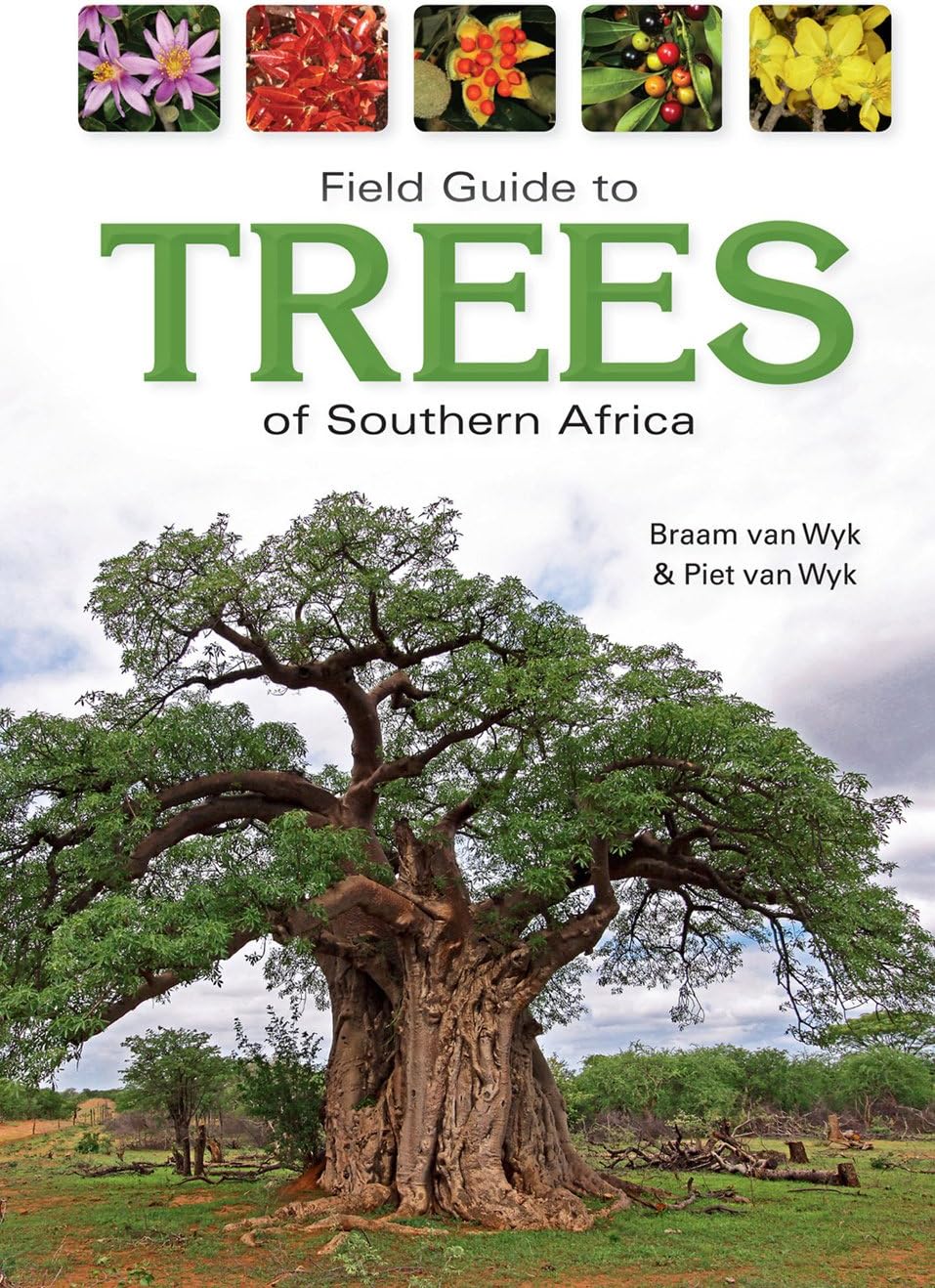 Field Guide to Trees of Southern Africa
