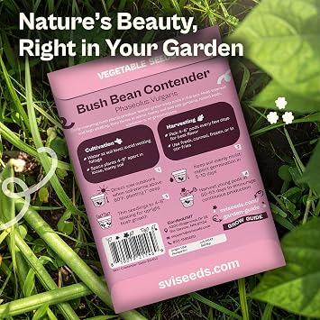 SVI 30 Contender Bush Green Bean Seeds (Phaseolus vulgaris) Stringless Green Bean Seed Packets, Snap Bush Beans Heirloom Vegetable Seeds for Outdoors, Vegetable Garden, Containers