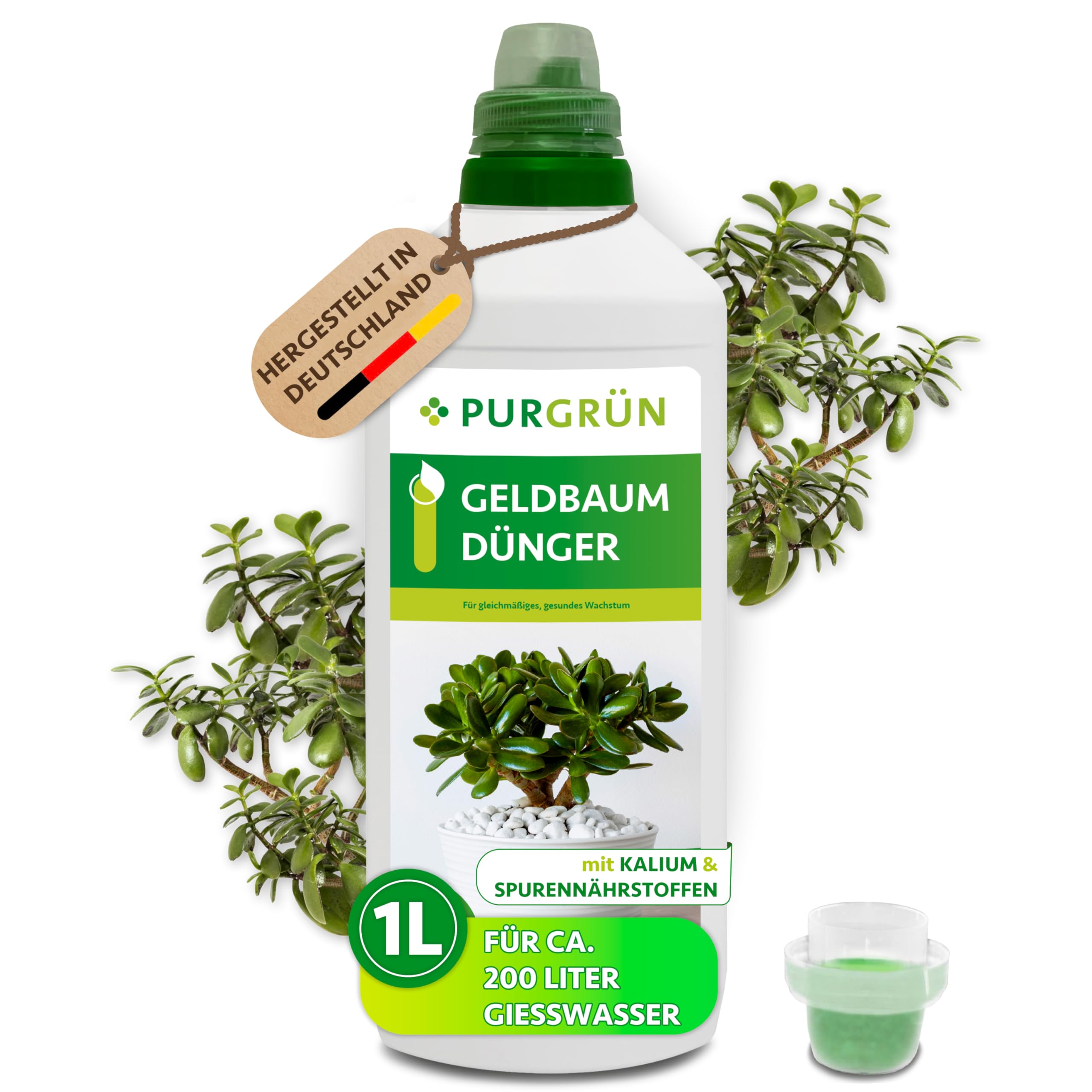 Purgrn Geldbaum-Dnger 1 Liter  Spurennhrstoffe fr gesundes Wachstum   Extra Kalium frdert die Widerstandskraft  Ergiebiges Konzentrat fr 400  Liter Giewasser  Premium-Flssigdnger : Amazon.de: Garten