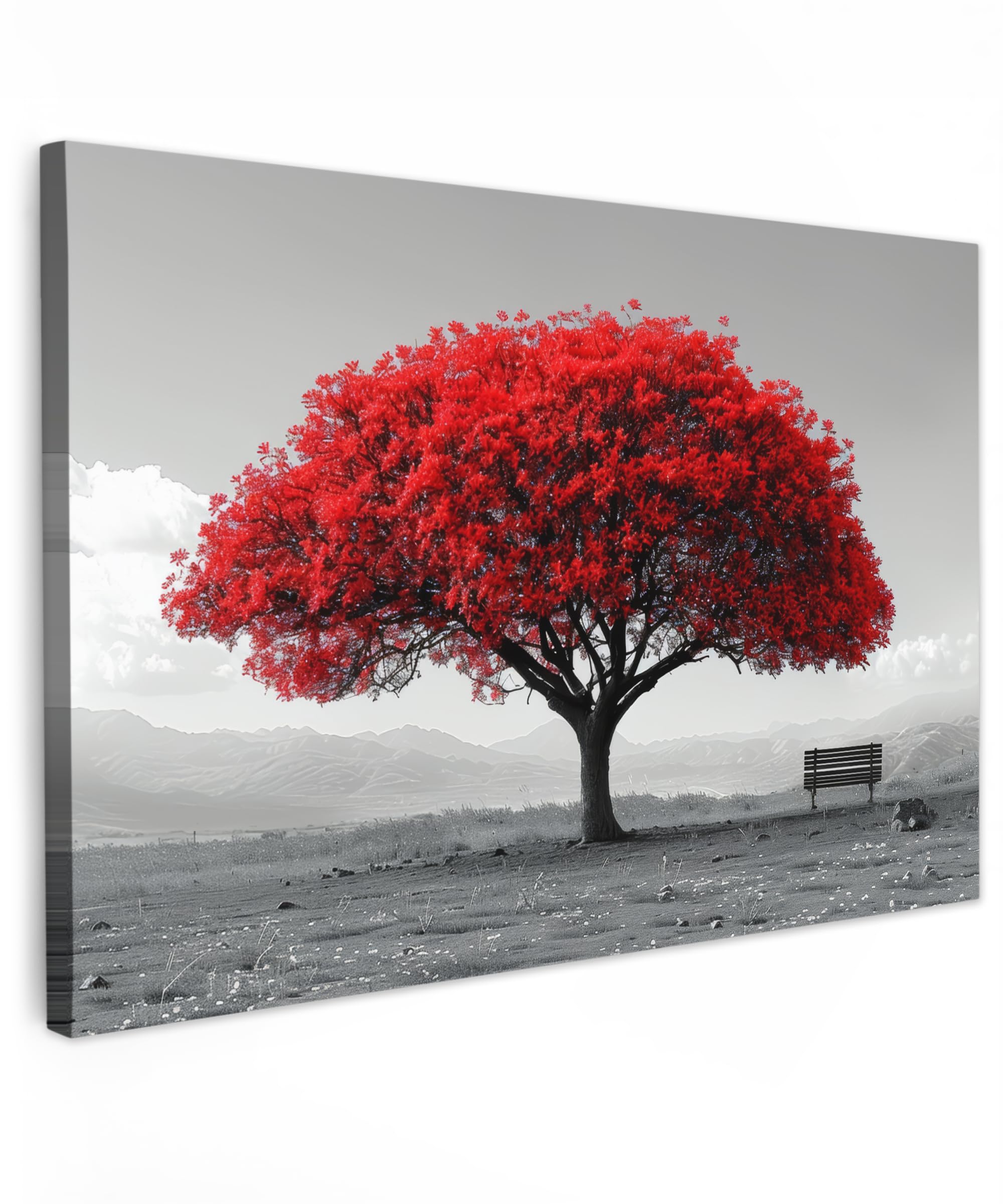 MuchoWow© Canvas Wall Art 35"x24" / 90x60 cm Decor Paintings Prints framed on Canvas Decorations Wallart Tree - Red - Nature - Black and white