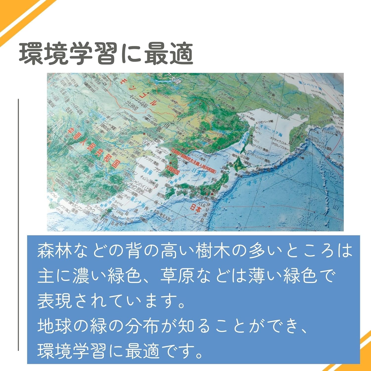 Raymay Fujii OYV260 Globe, Full Rotation, Land Cover Type, 11.8 inches (30 cm)