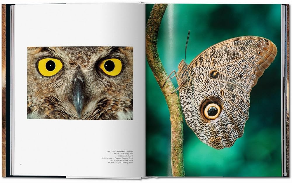 洋書 Eye on Europe Eye on Europe: Wye, Deborah, Weitman, Wendy: 9780870703713