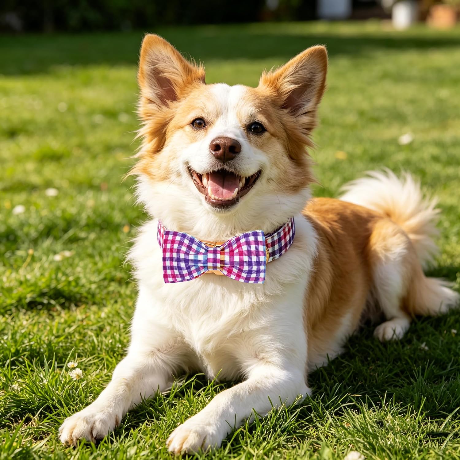 Lionheart glory Easter Dog Bow Collar - Easter Dog Collar with Bowtie Adjustable Soft Colorful Plaid Pet Collars Spring Cute Dogs Collars for Medium Dogs Male Female Puppy image 4