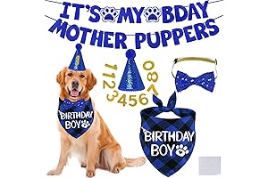 STMK Dog Birthday Decorations X-Large Blue