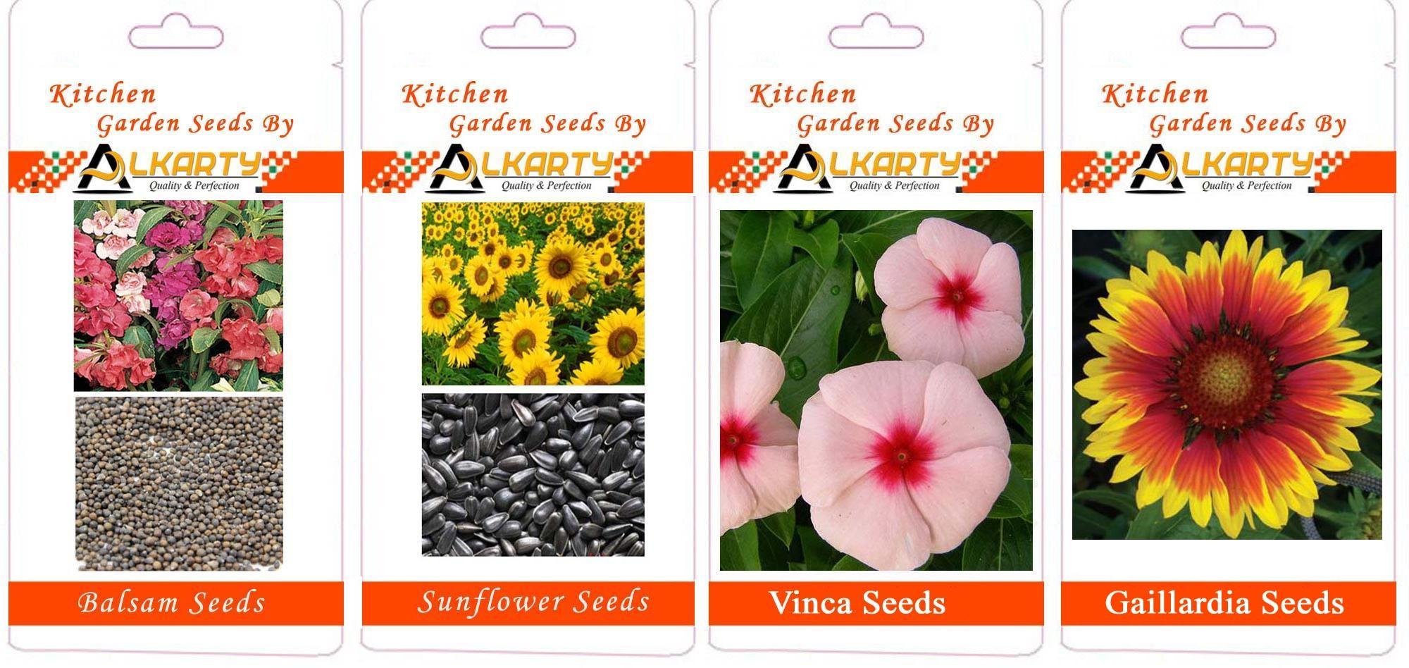 Balsam, Sunflower, Vinca, Gaillardia Summer Flower Seeds Pack of 20 Each-image-46