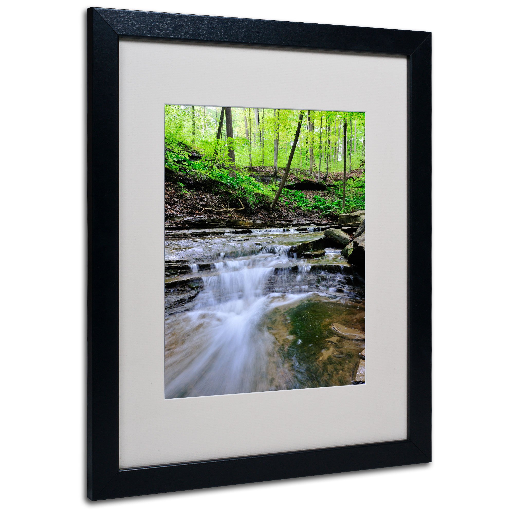 Valley Stream Matted Framed Art by Kurt Shaffer in Black Frame, 16 by 20-Inch