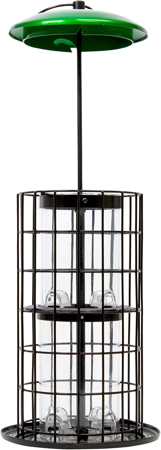 Green and Black Metal Squirrel Resistant Hanging Bird Feeder