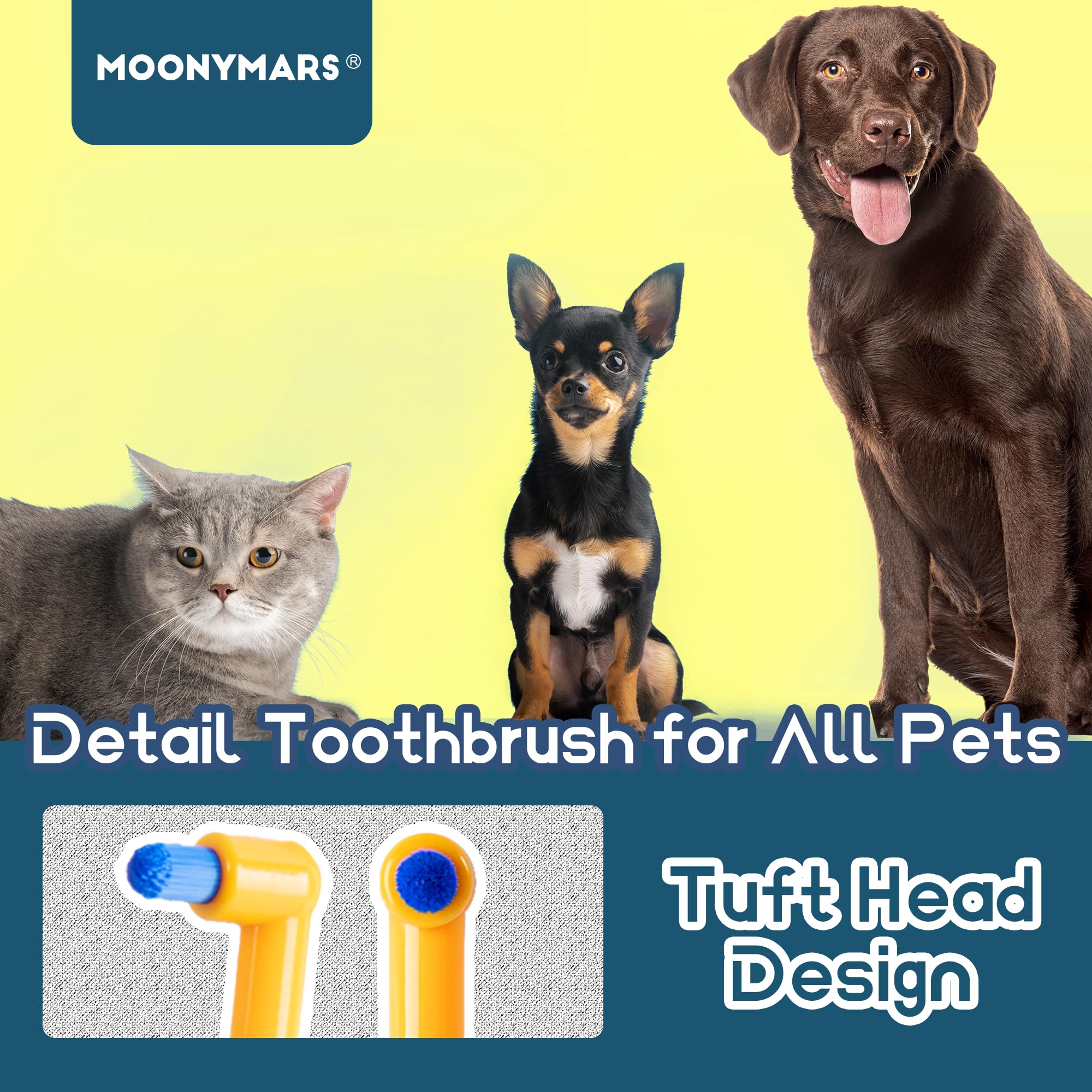 Lot de 2 brosses à dents pour chat - Pour petit chien et chiot - Brosse à dents pour chaton et petit animal de compagnie - Nettoyage dentaire en profondeur - Orange