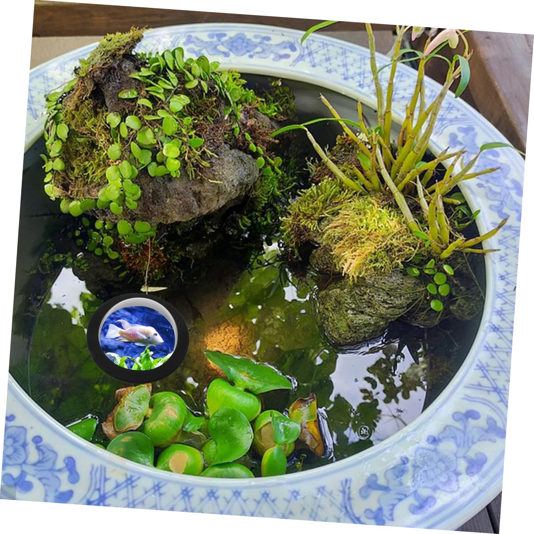 BESPORTBLE 4 Pezzi Copertura Galleggiante Per Laghetto Portabolle Galleggianti Carri Armati Cestini Pianta Galleggiante Arredamento Fontane All'aperto Piante Acquatiche Vive Acrilico Black