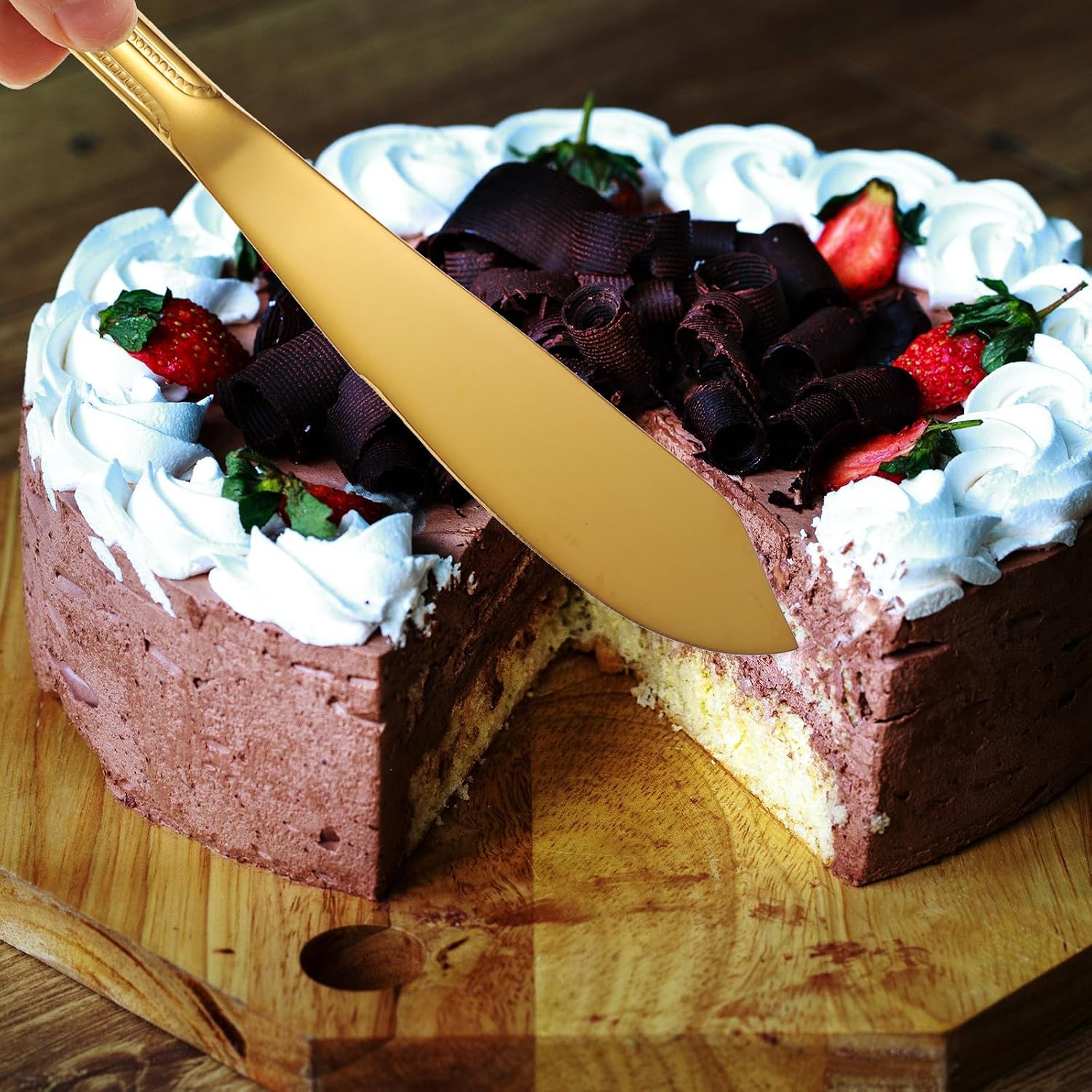 Stainless Steel Cake Cutter Set with Long Handle