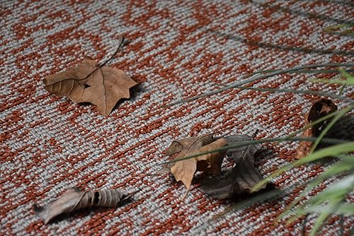 Miniatura 3 de Furnish my Place Patrón geométrico para interiores y exteriores, color óxido elemental, alfombra de área abstracta, alfombra que admite mascotas,