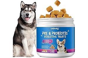Nutri-Vet Pre and Probiotics for Dogs