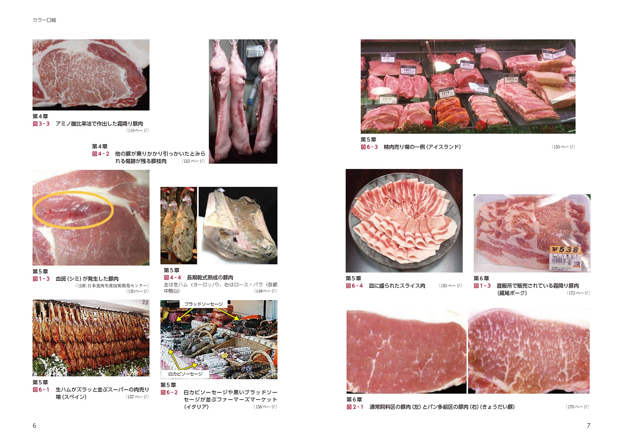 Amazon.co.jp: 入江 正和: 本、バイオグラフィー、最新アップデート