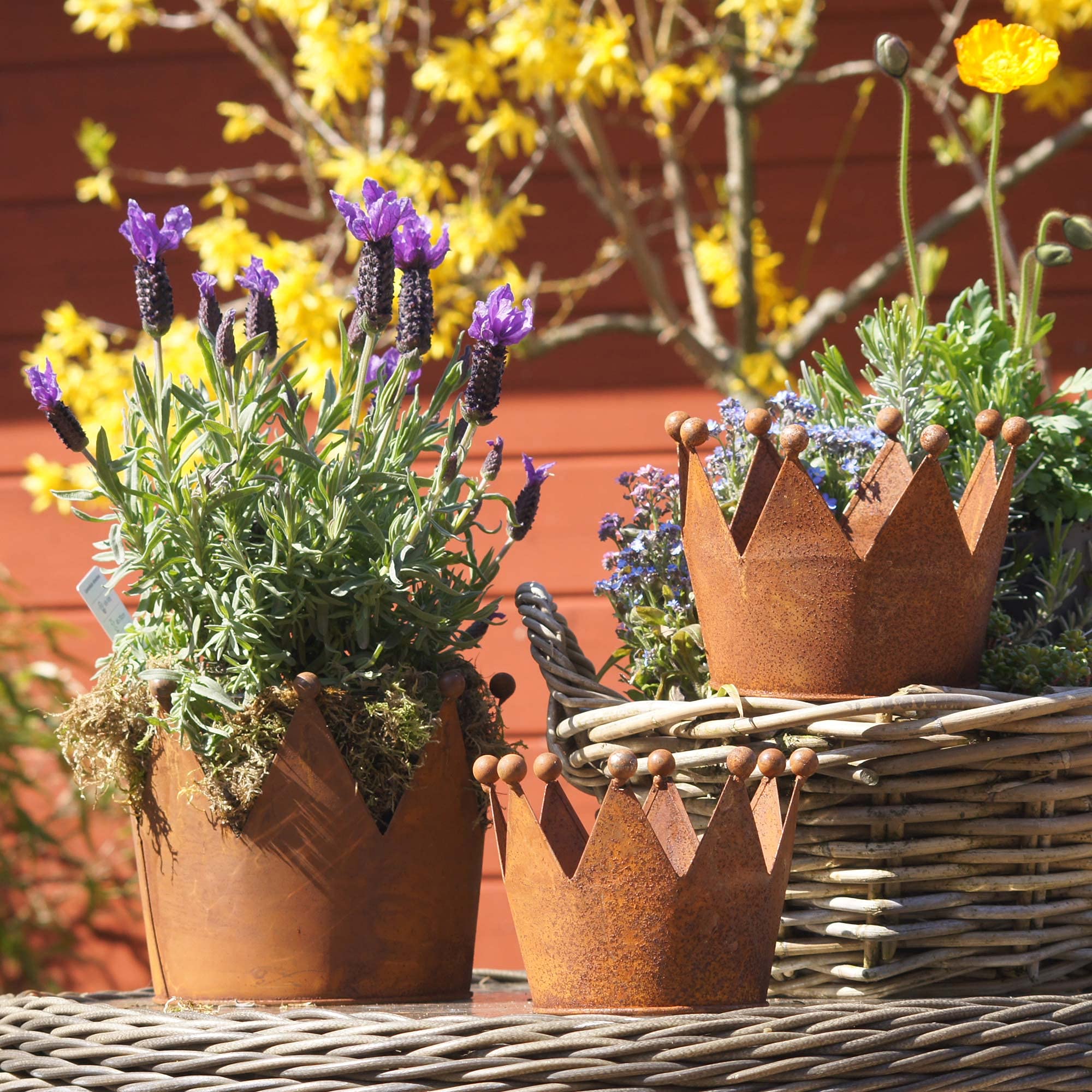 UNUS - Decorazione da giardino, motivo: canne di palude, con asta da inserire, effetto ruggine, decorazione per giardino, terrazza, balcone, vaso da fiori, in zinco