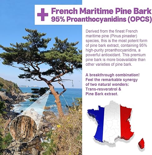 Miniatura 6 de Suplemento de resveratrol de 1000 mg - Gomitas de resveratrol sin azúcar con extracto de corteza de pino, quercetina, fisetina y semilla de uva para