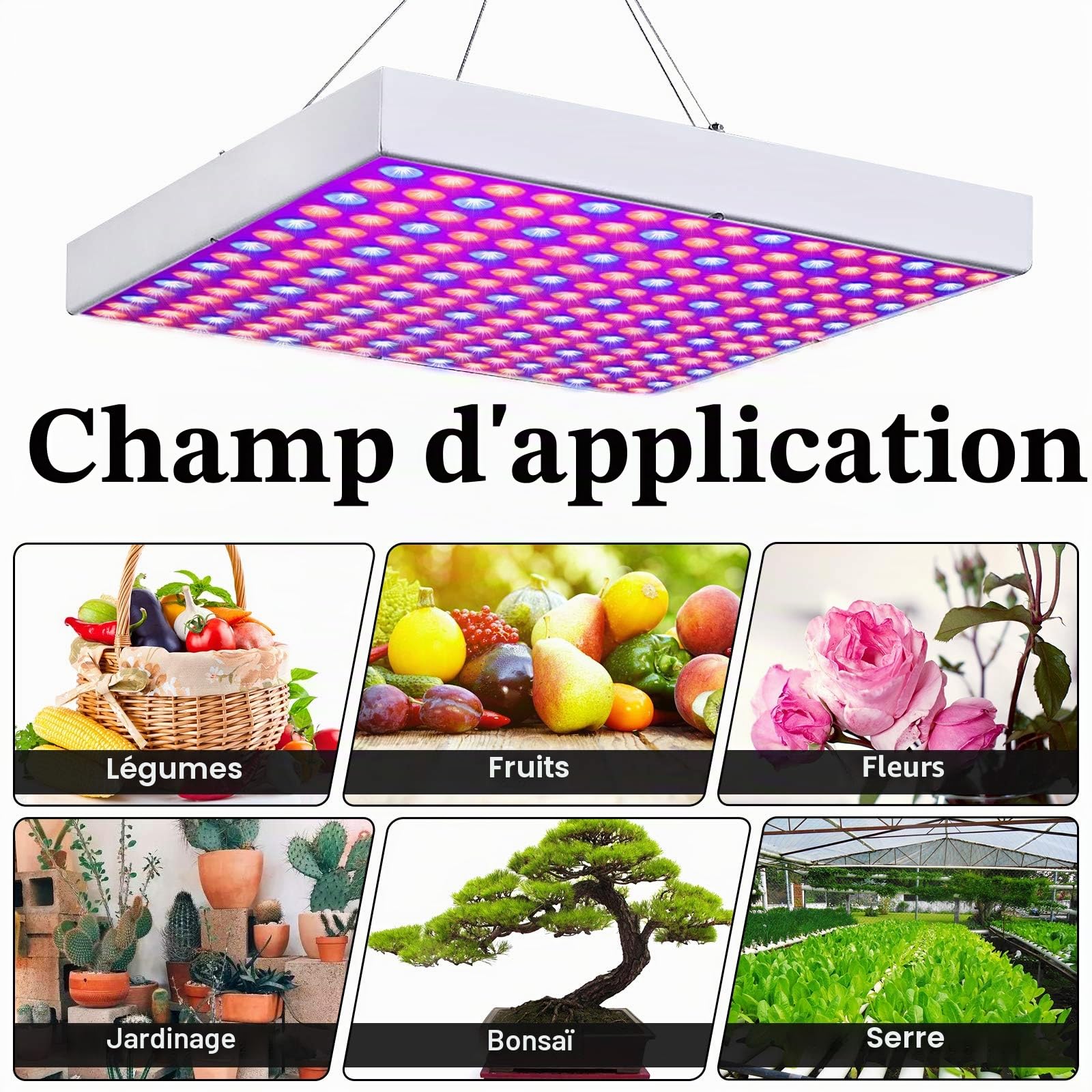LZQ Lampe LED pour plantes - 45 W - 225 LED - Spectre complet - Lumière de croissance pour plantes d'intérieur - Bleu + rouge + blanc - Carré
