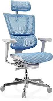 hjh OFFICE Ergohuman Ergonomic Slim G GEN2 Office Chair Original Design 24-Hour Use Swivel Chair with Flexible Lumbar Support Mesh Blue