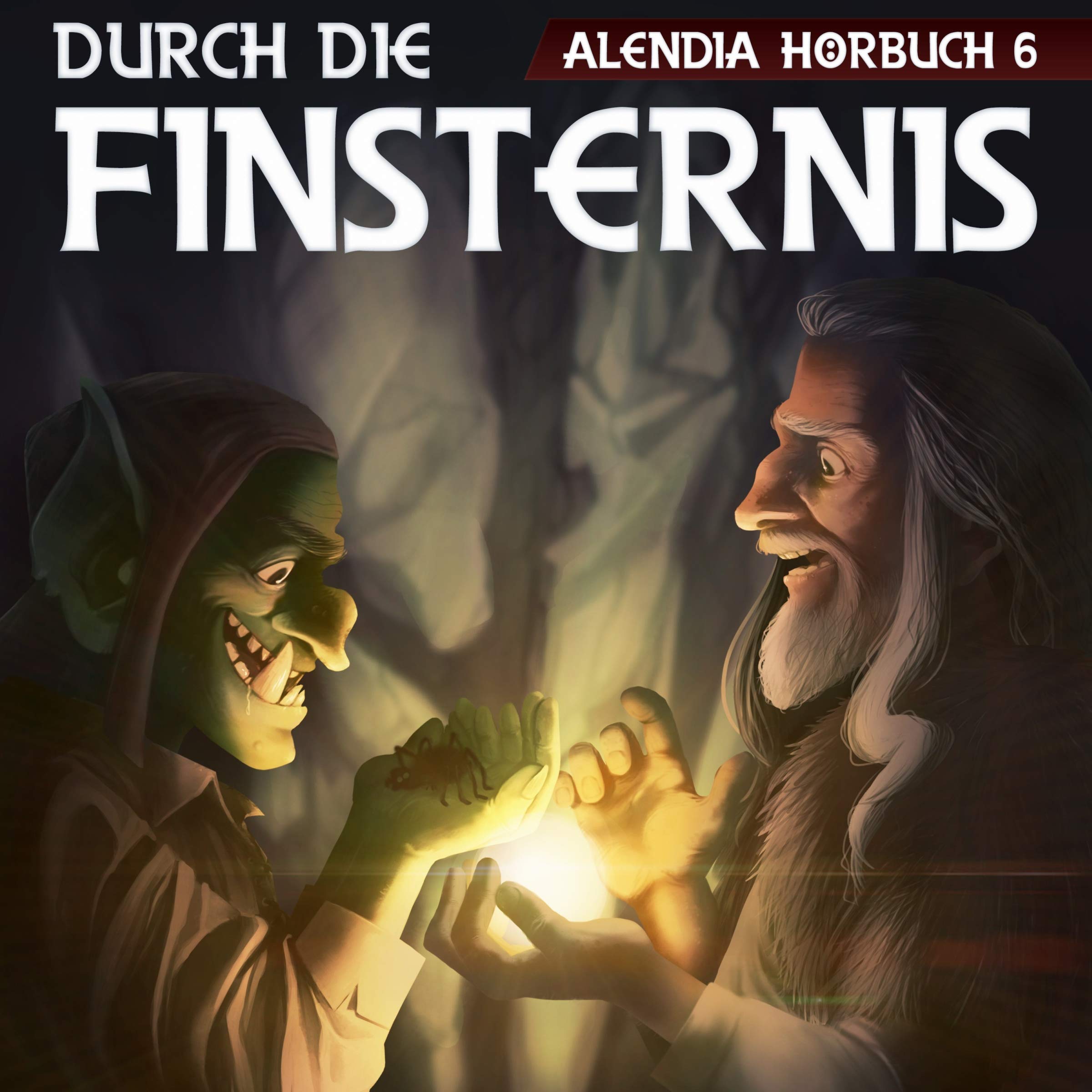 Cover art for Durch die Finsternis