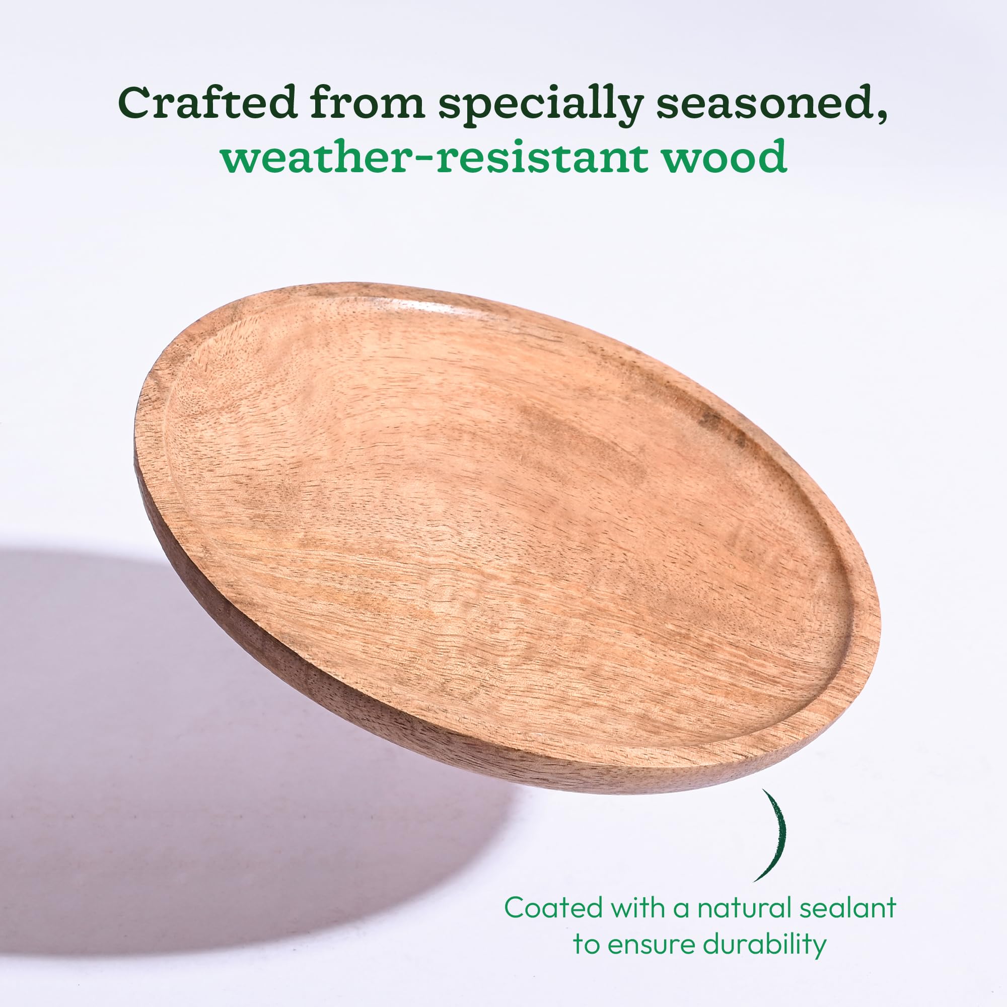 rcei ポット発送♈️616【Ashwood】EVOLUTION UGAOO Wooden Round