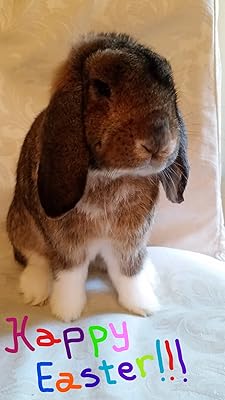 selective rabbit pellets