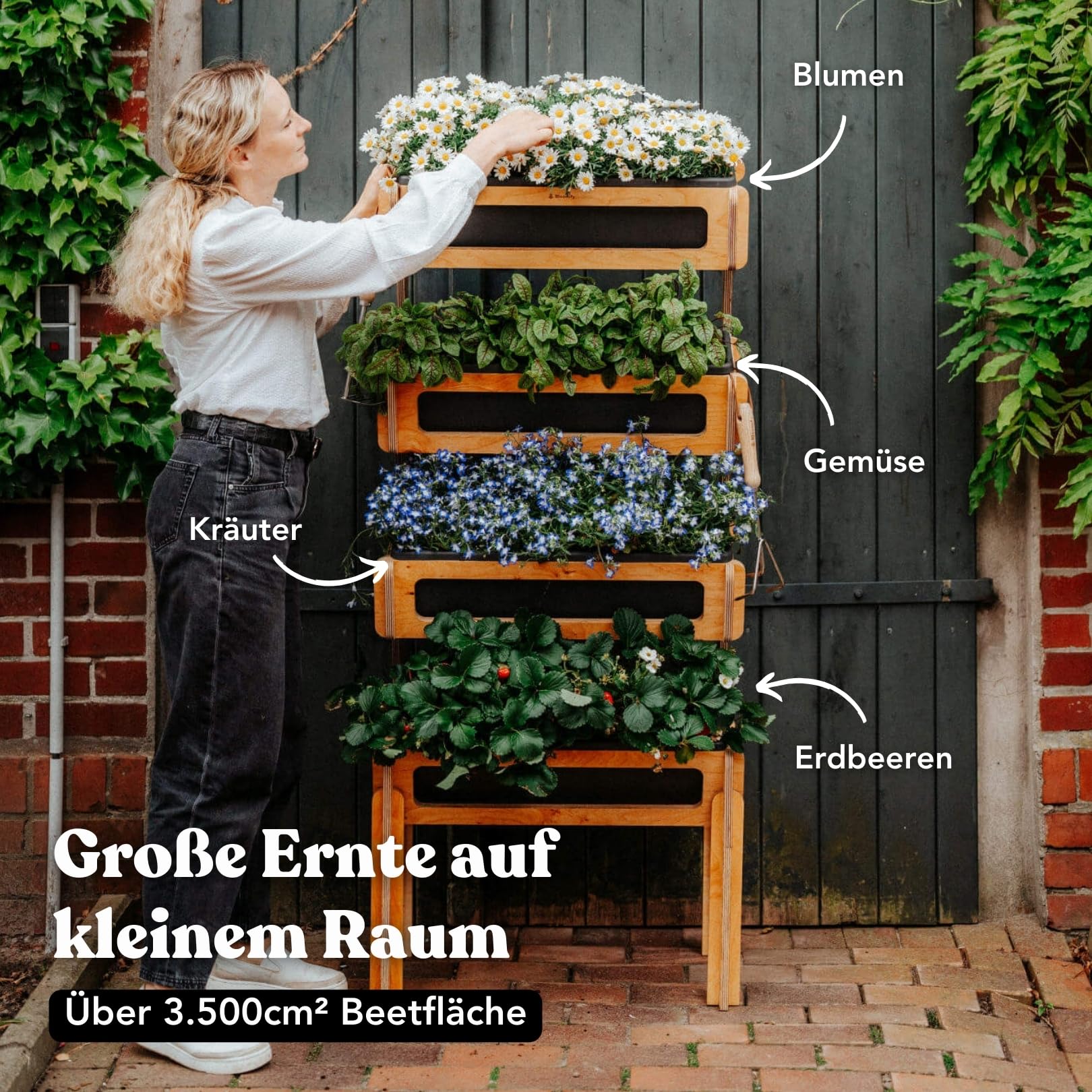 Bloomify® Vertikalbeet mit 4 Etagen aus Birkenholz – Aufbau ohne Schrauben – 4 rausnehmbare Pflanzkästen – 64×33×146 cm – schmales vertikales Hochbeet für Balkon, Terasse & Garten