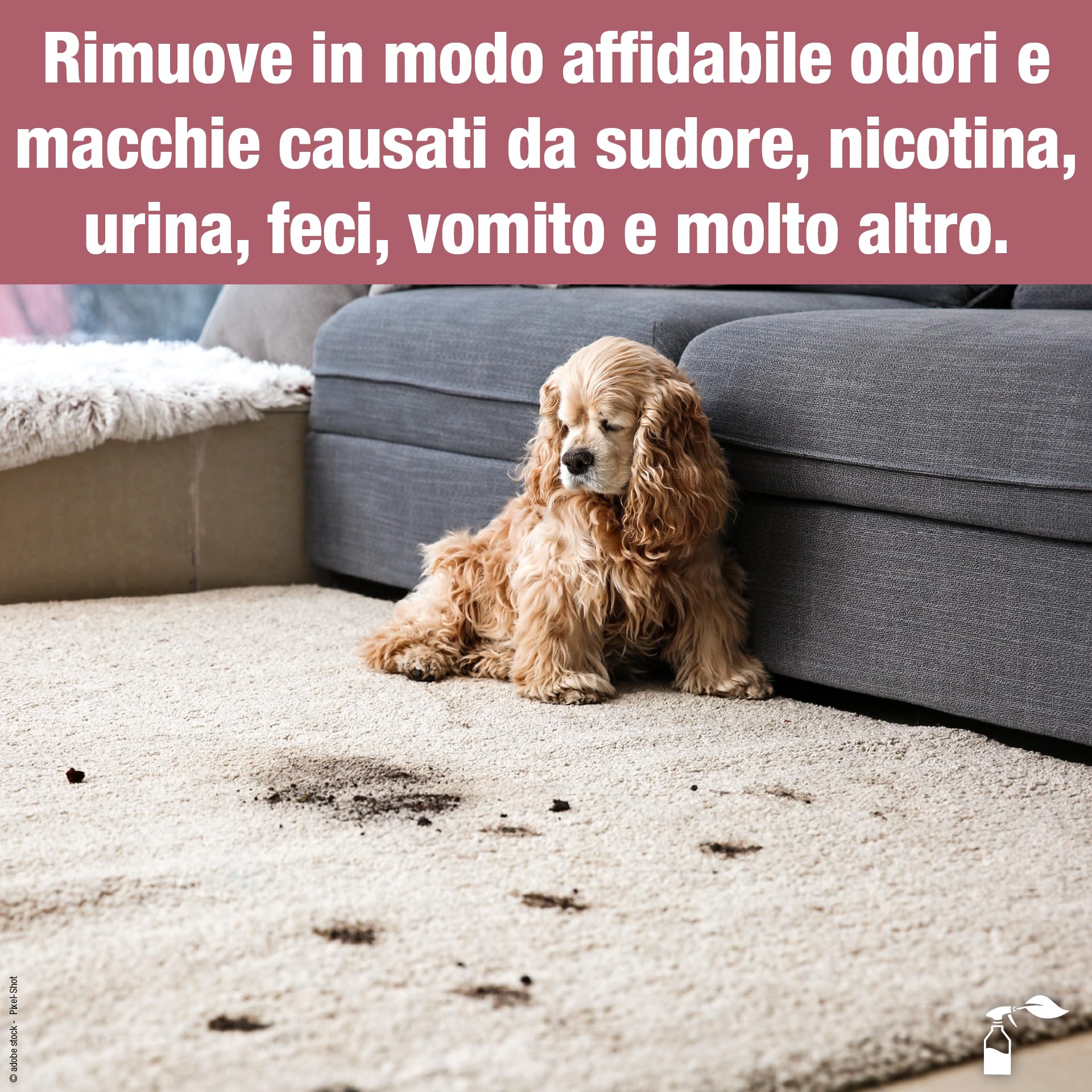 Bio-Chem - Smacchiatore di urina e odori tanica 5L - Prodotto ideale contro l'urina di cane e gatto - Spray neutralizzante e assorbi odori - Prodotto deodorante per la casa