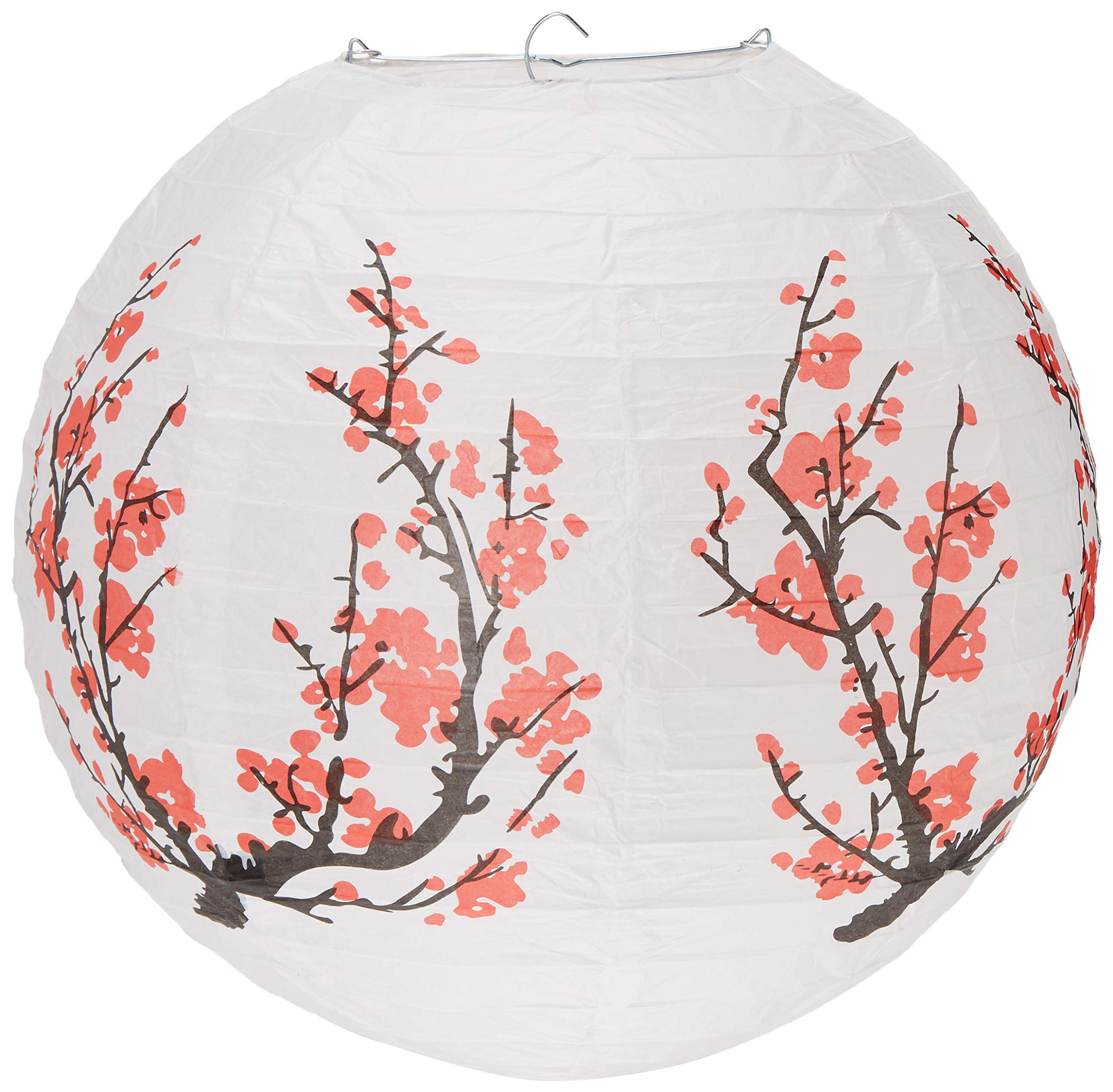 Japanese Lantern Tree