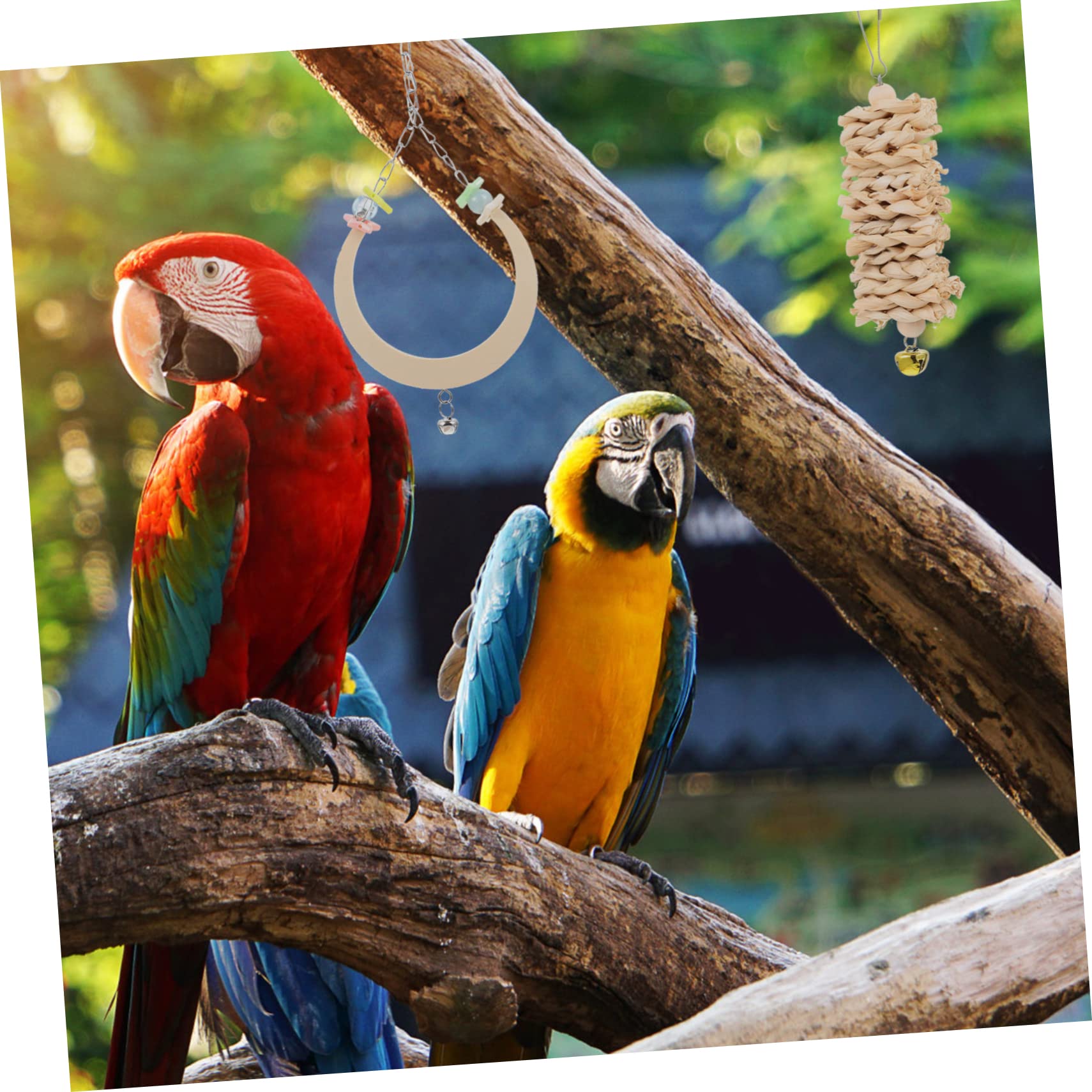 KESYOO 1Set Parrot Entertainment Durable Bird Swing Plaything for Parrots Lightweight Chewing Present for Pet Bird Owners Engaging Playtime for Parrots