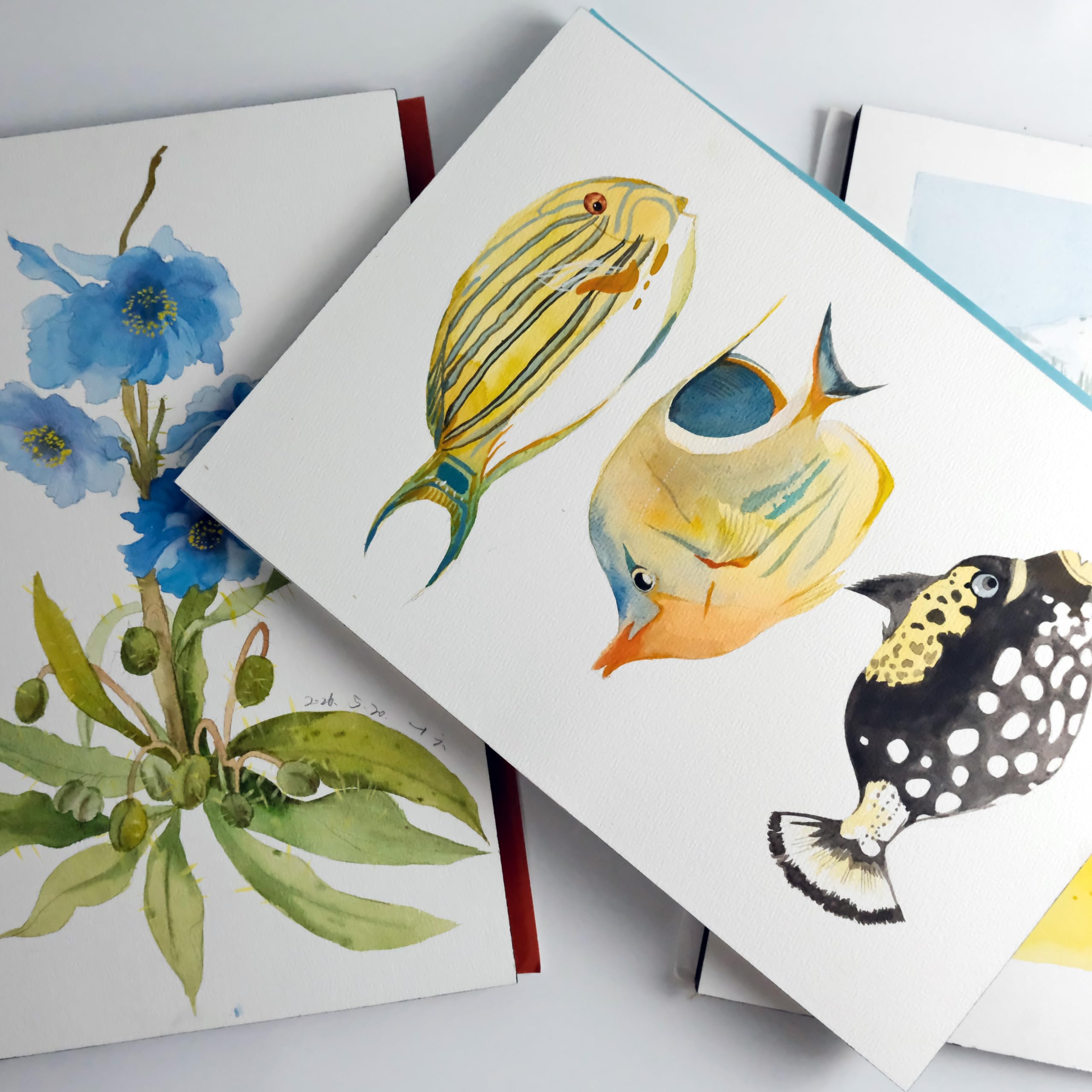 CuppaClip Bloc de papier aquarelle en pur coton 300 g/m² - Sans acide - 20 feuilles - Fournitures d'art aquarelle (presse à froid, 25,9 x 17,8 cm)
