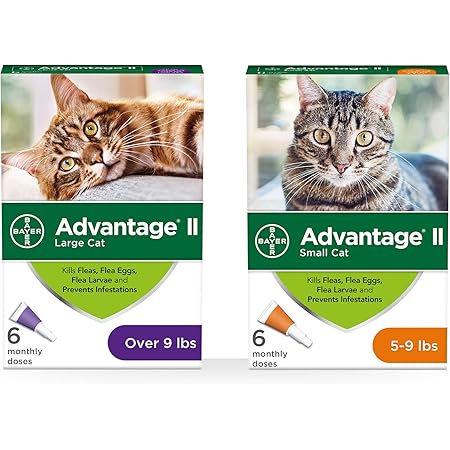 advantage 2 for cats amazon