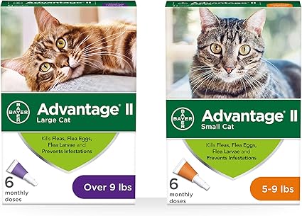 advantage small cat 6 pack