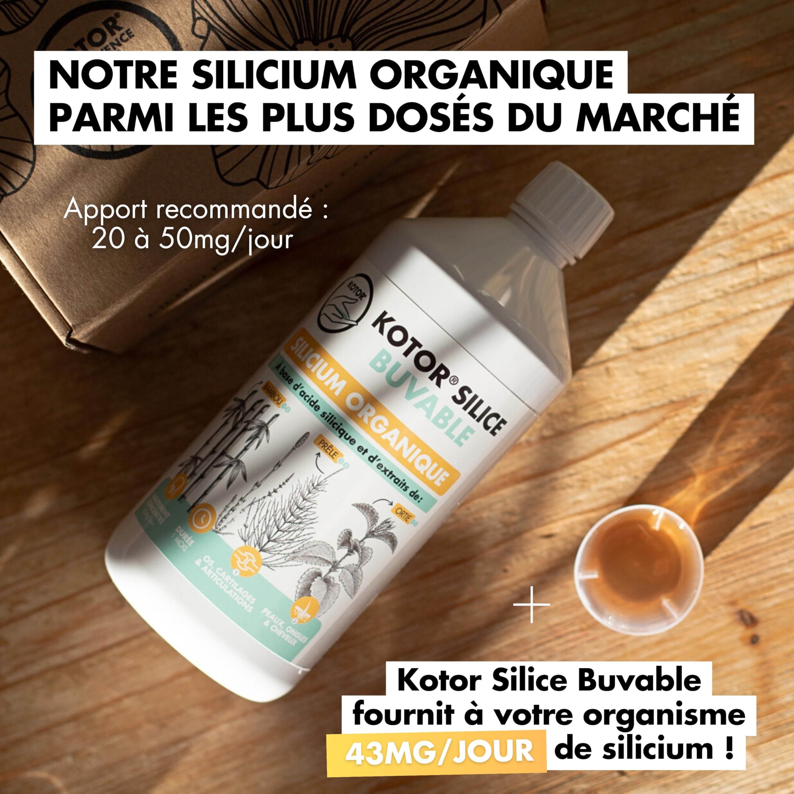 KOTOR SILICE BUVABLE 1L | Lot de 2 | Silicium Organique Naturel et Francais | Fortement Dosé | Articulations, Os, Cartilages, Peau, Ongles, Cheveux | Silicium + Bambou + Ortie + Prêle