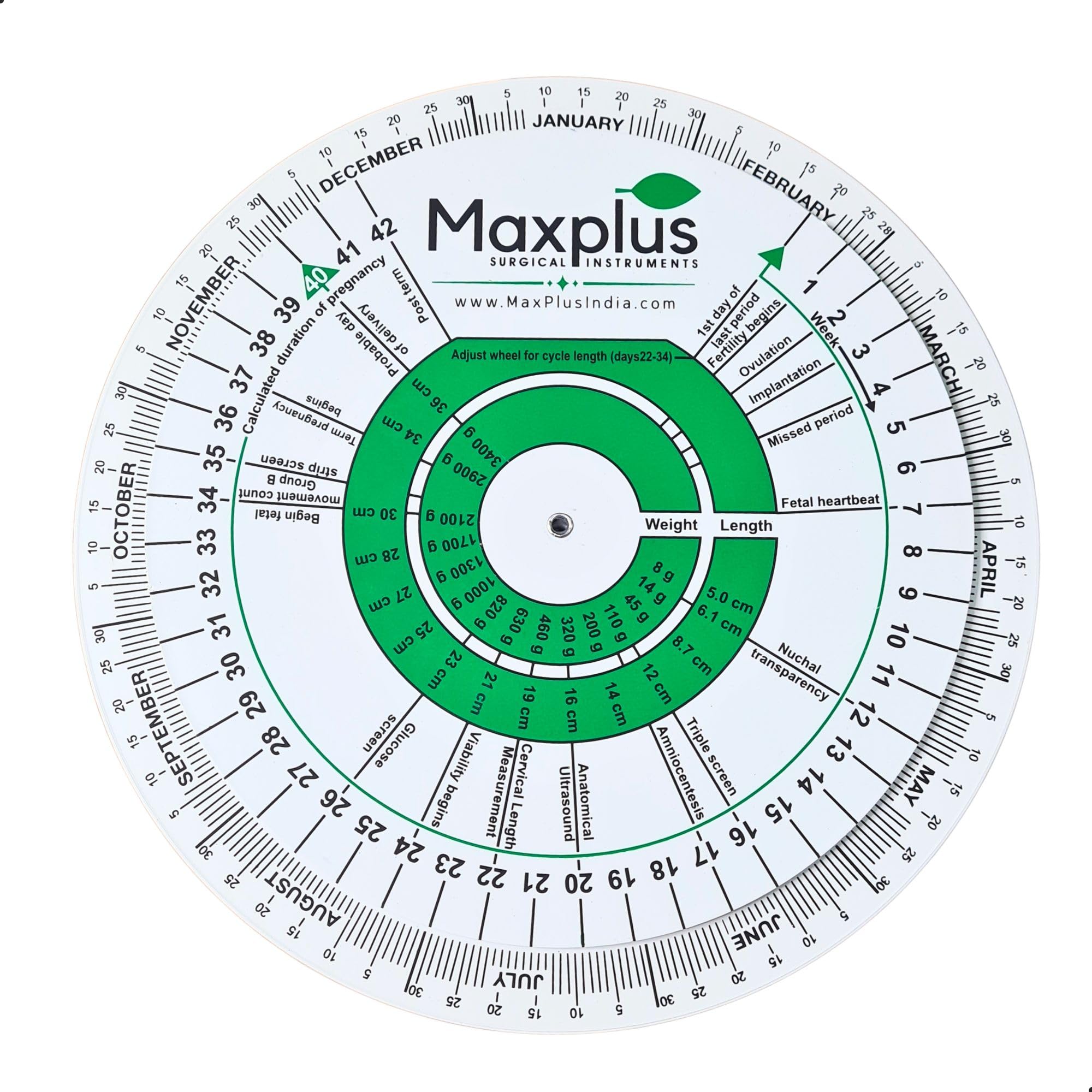Max Plus | PREGNANCY WHEEL | Obstetric Gestational Age & Due Date Calculator | OB GYN Pregnancy Dating Wheel with Fetal Growth Reference for Hospitals, Clinics & Medical Students-image-39
